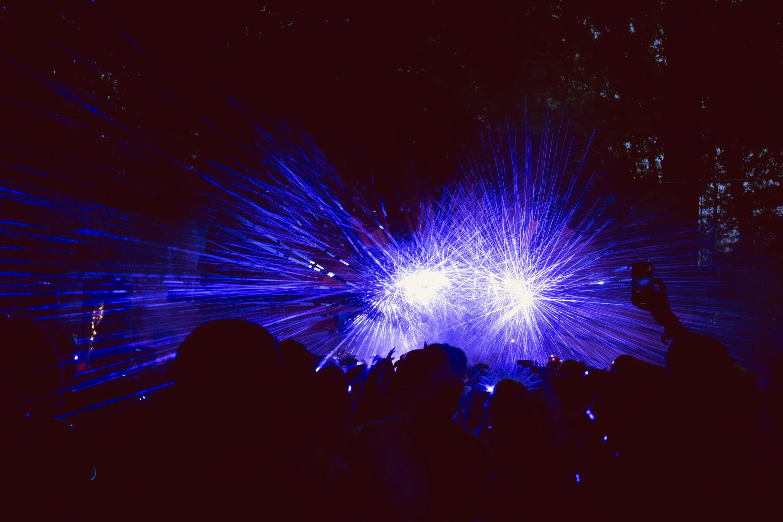Wild wood festival