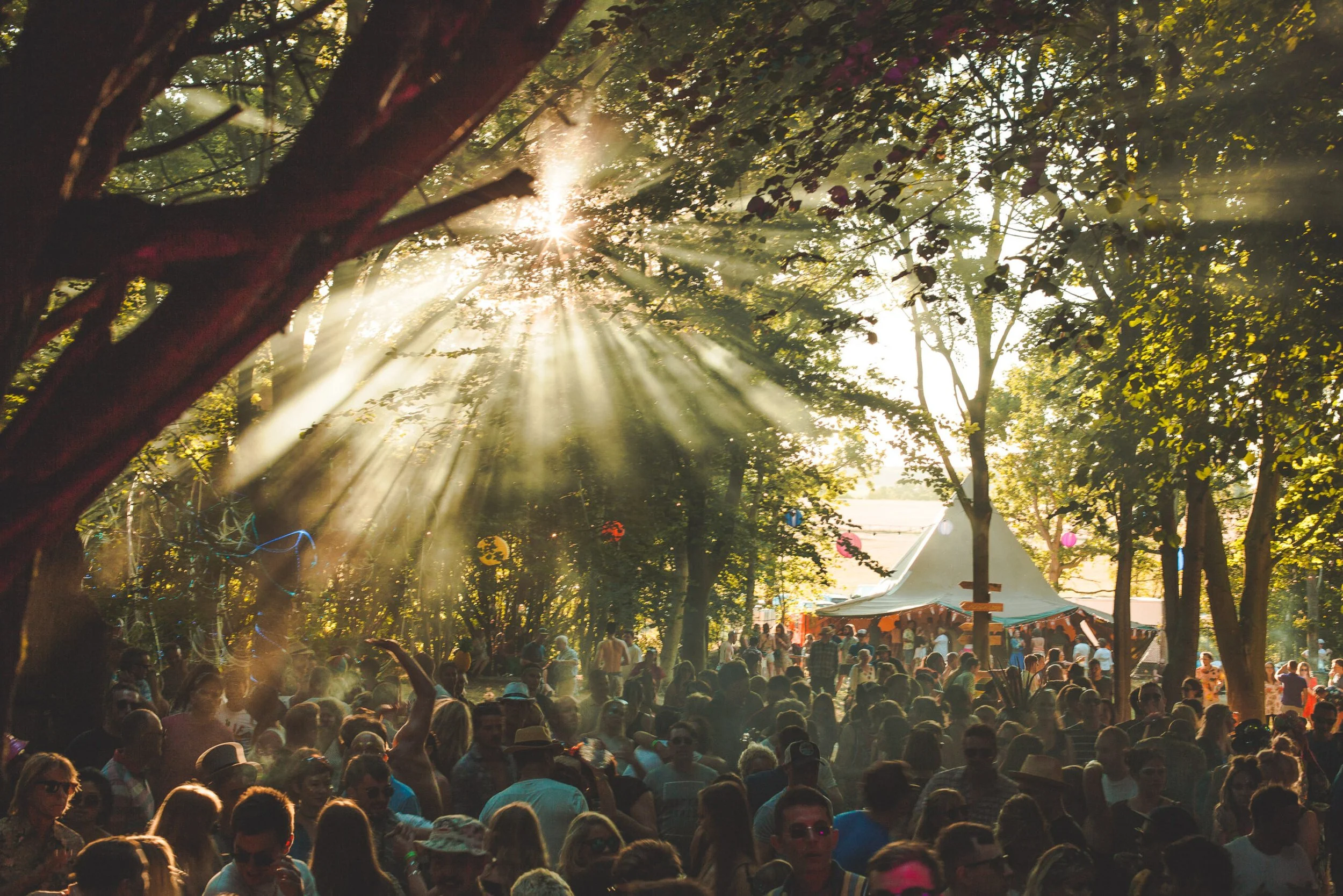 WILD WOOD FESTIVAL