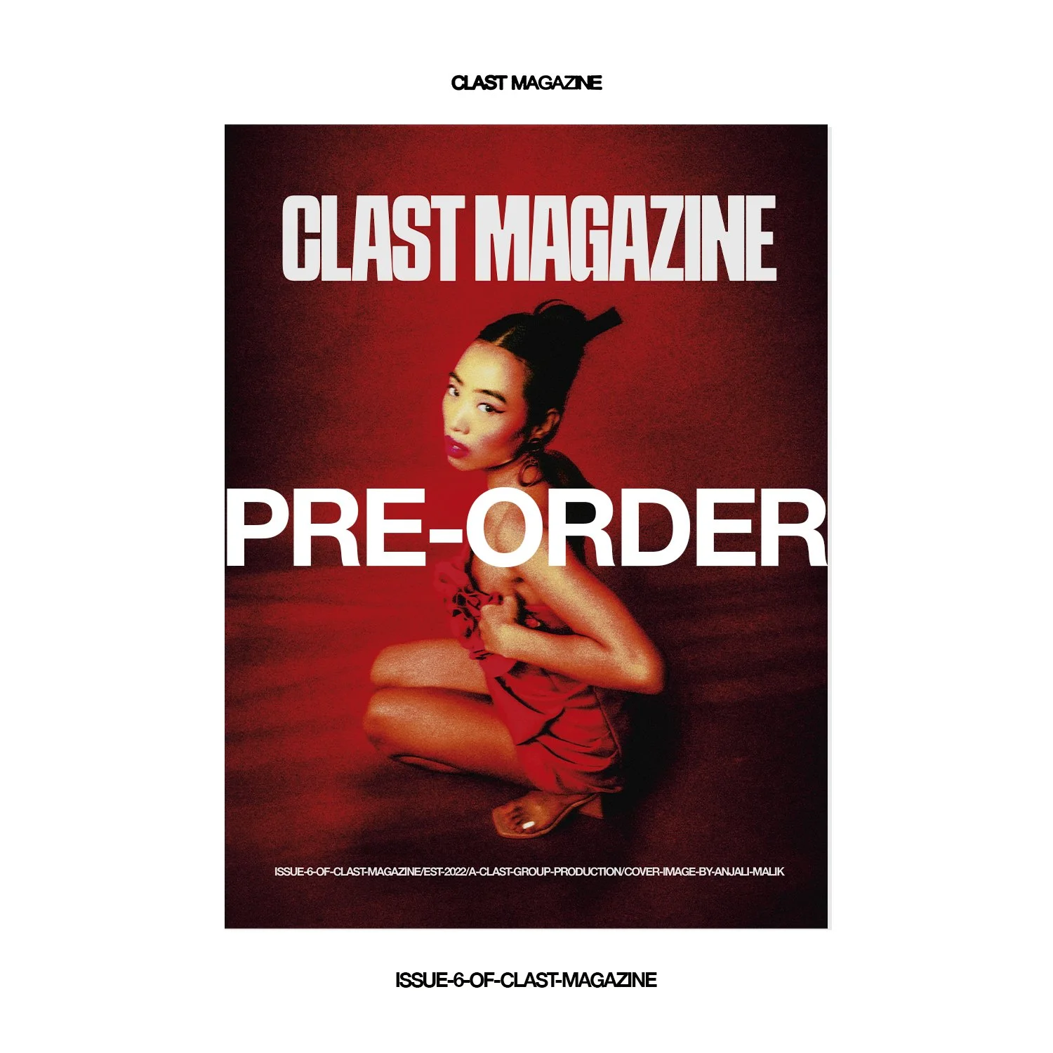 ISSUE 6 PRE-ORDER