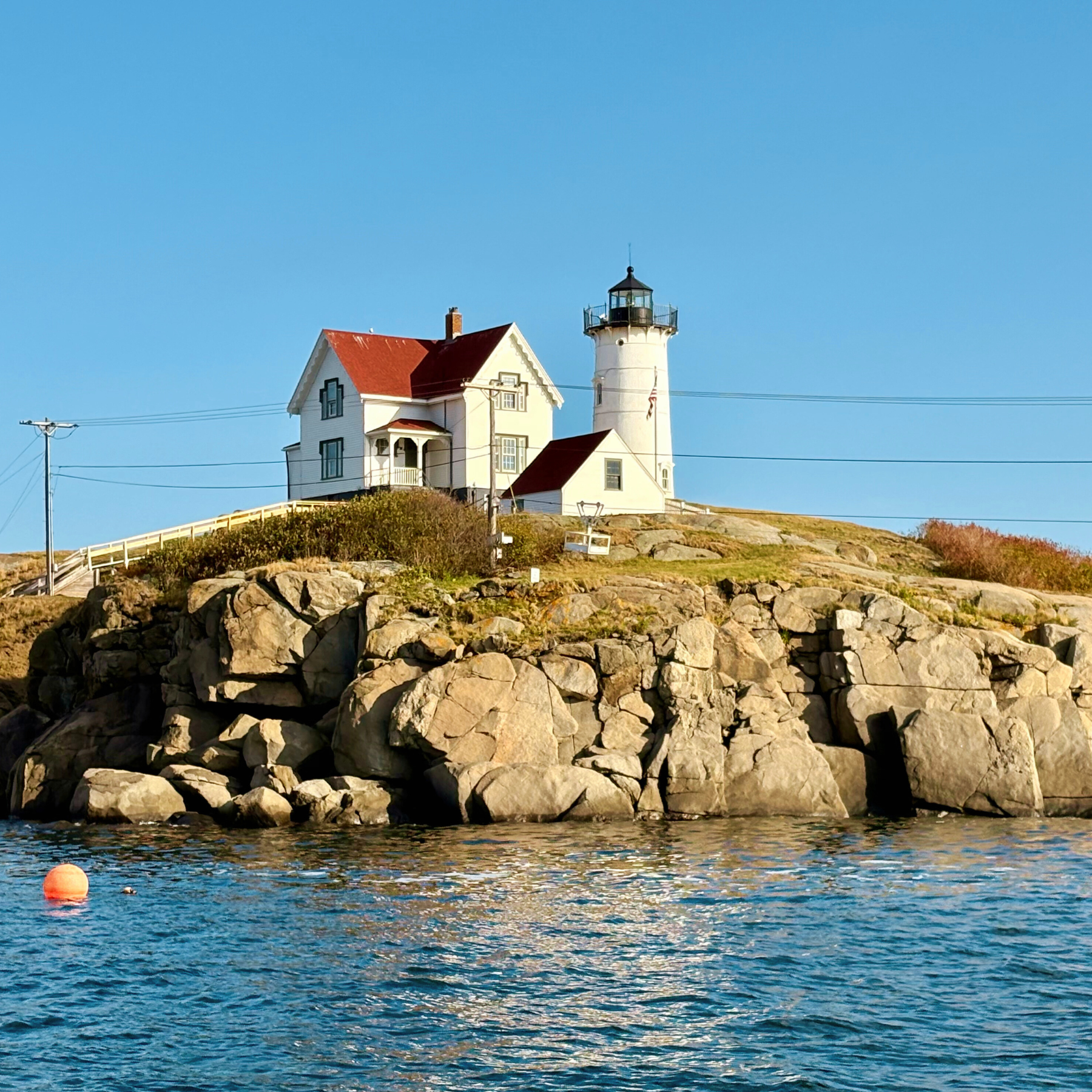 Trainings and Consultations