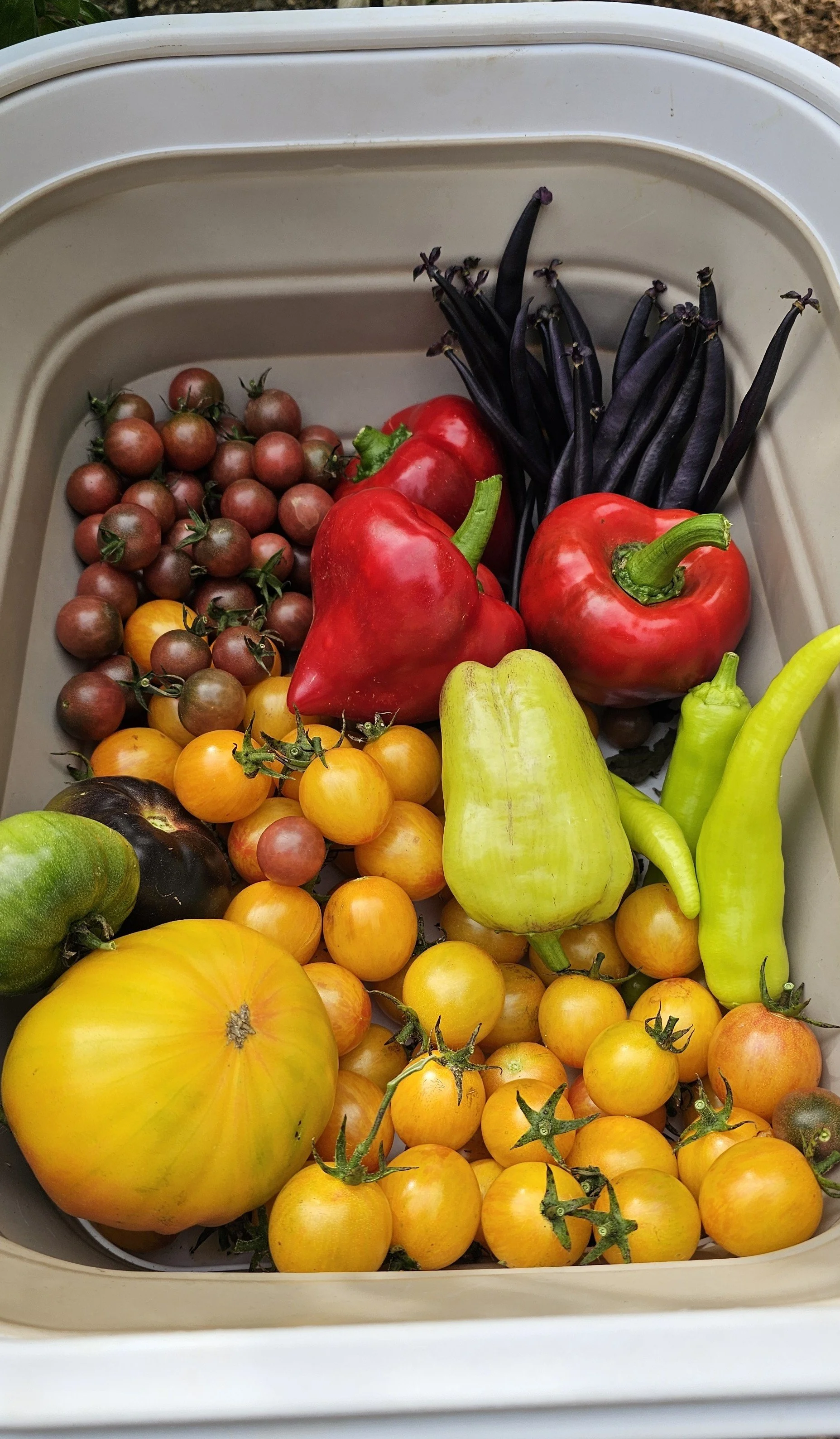 The Quiet Gift of Abundance 