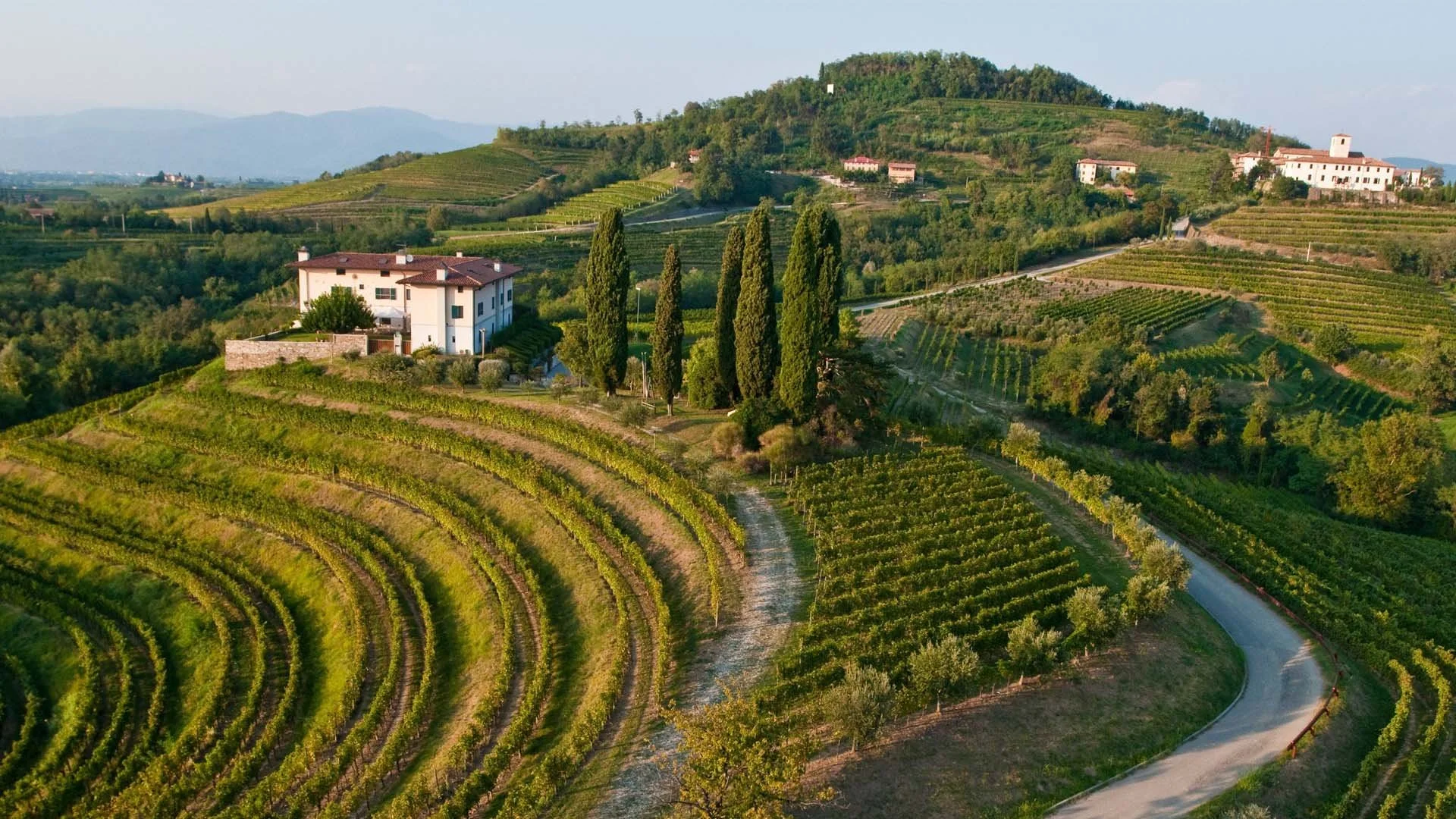 Vipava Valley Vina Ussai