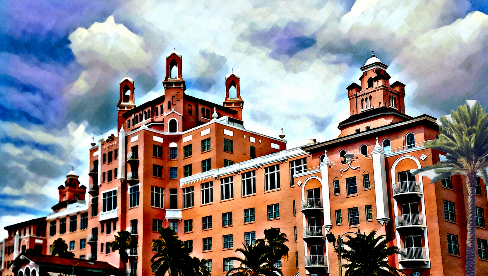 Vinoy Joy