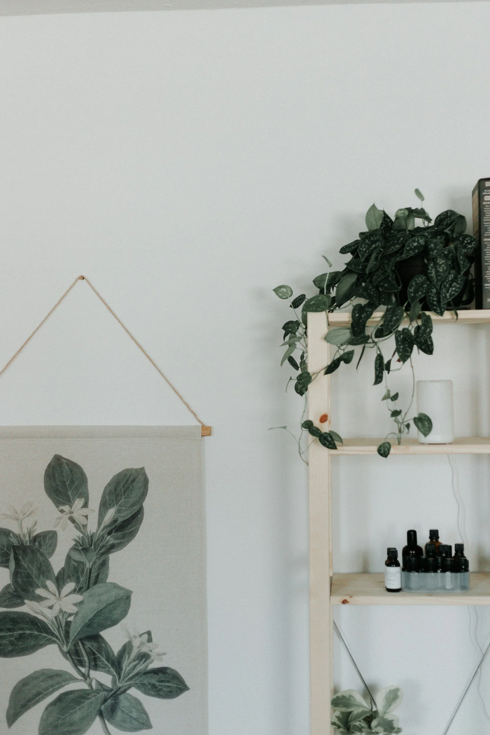 Indoor scene with a minimalist aesthetic, featuring a wall with a botanical art print and a wooden shelf holding a potted plant, a white vase, and small bottles.