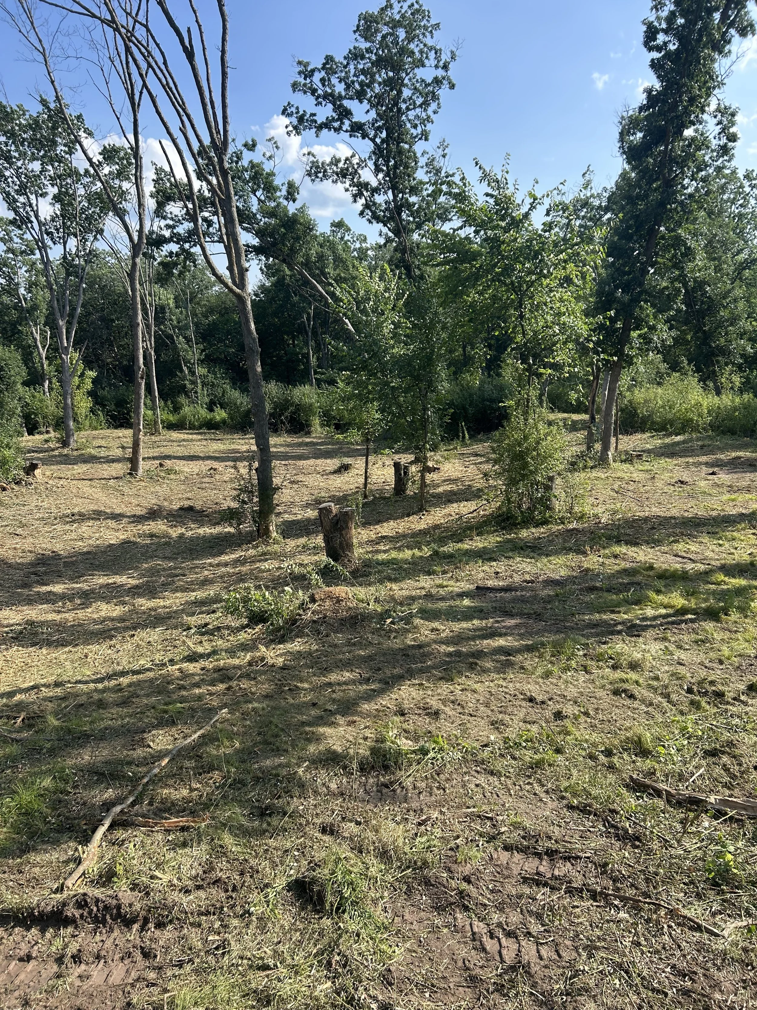 Forestry Mulching