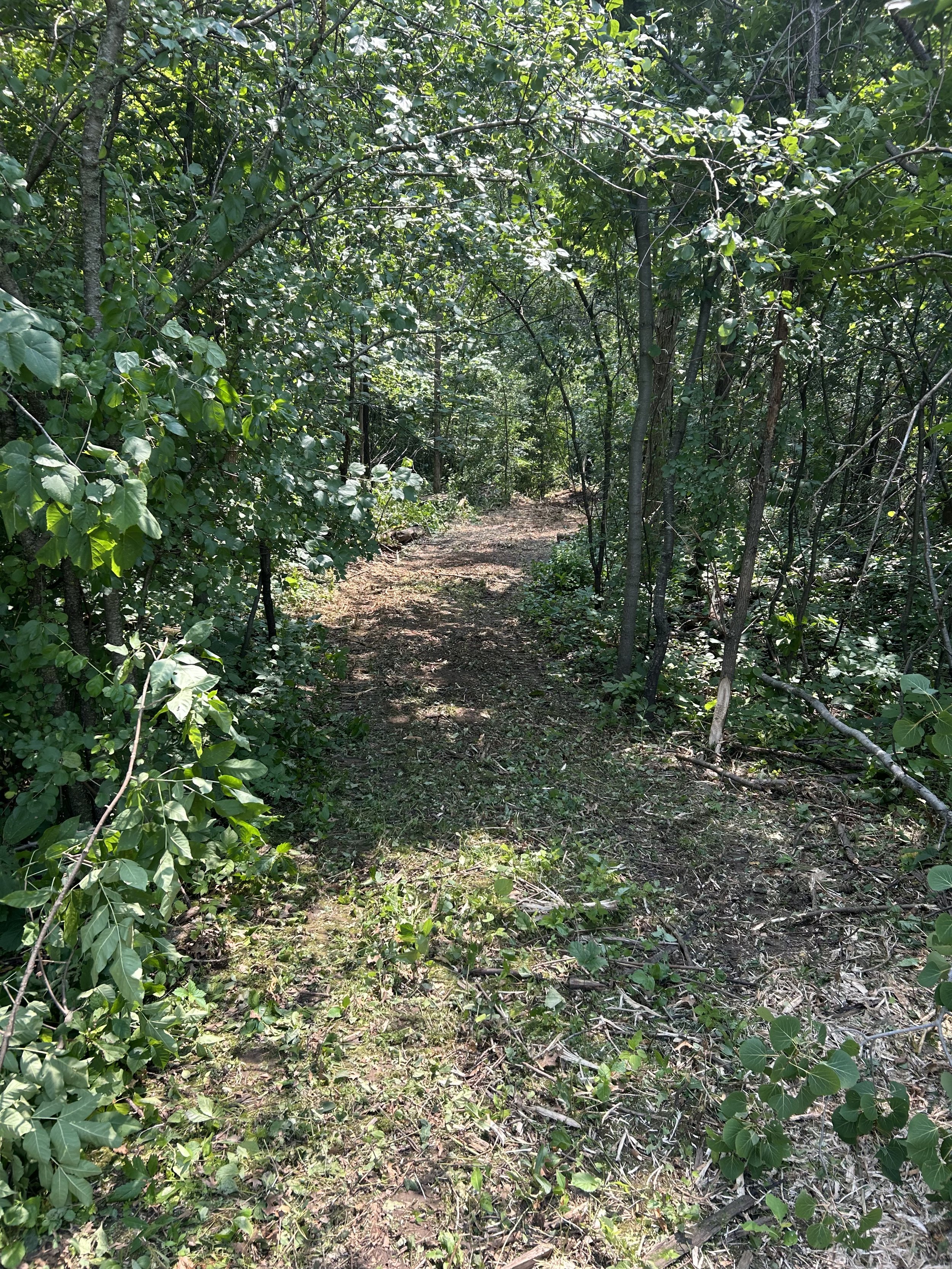 Trail Building 