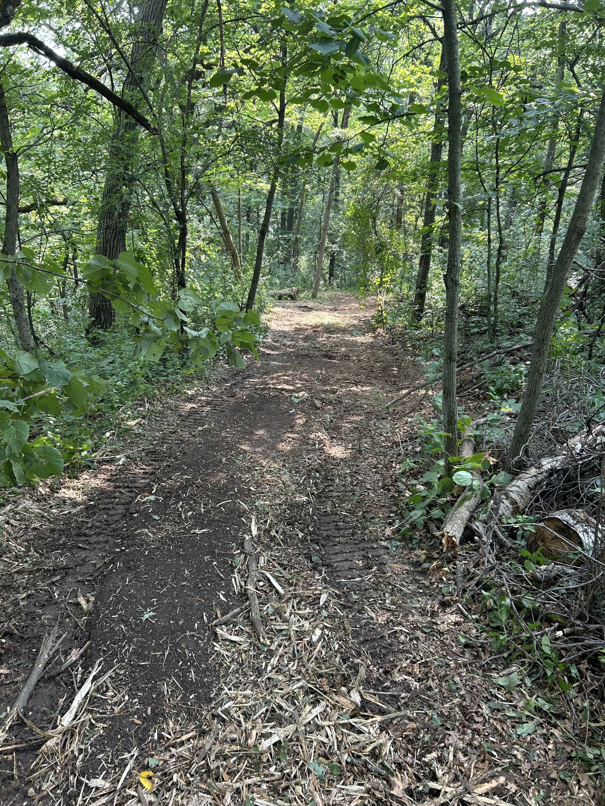 Trail Building-After