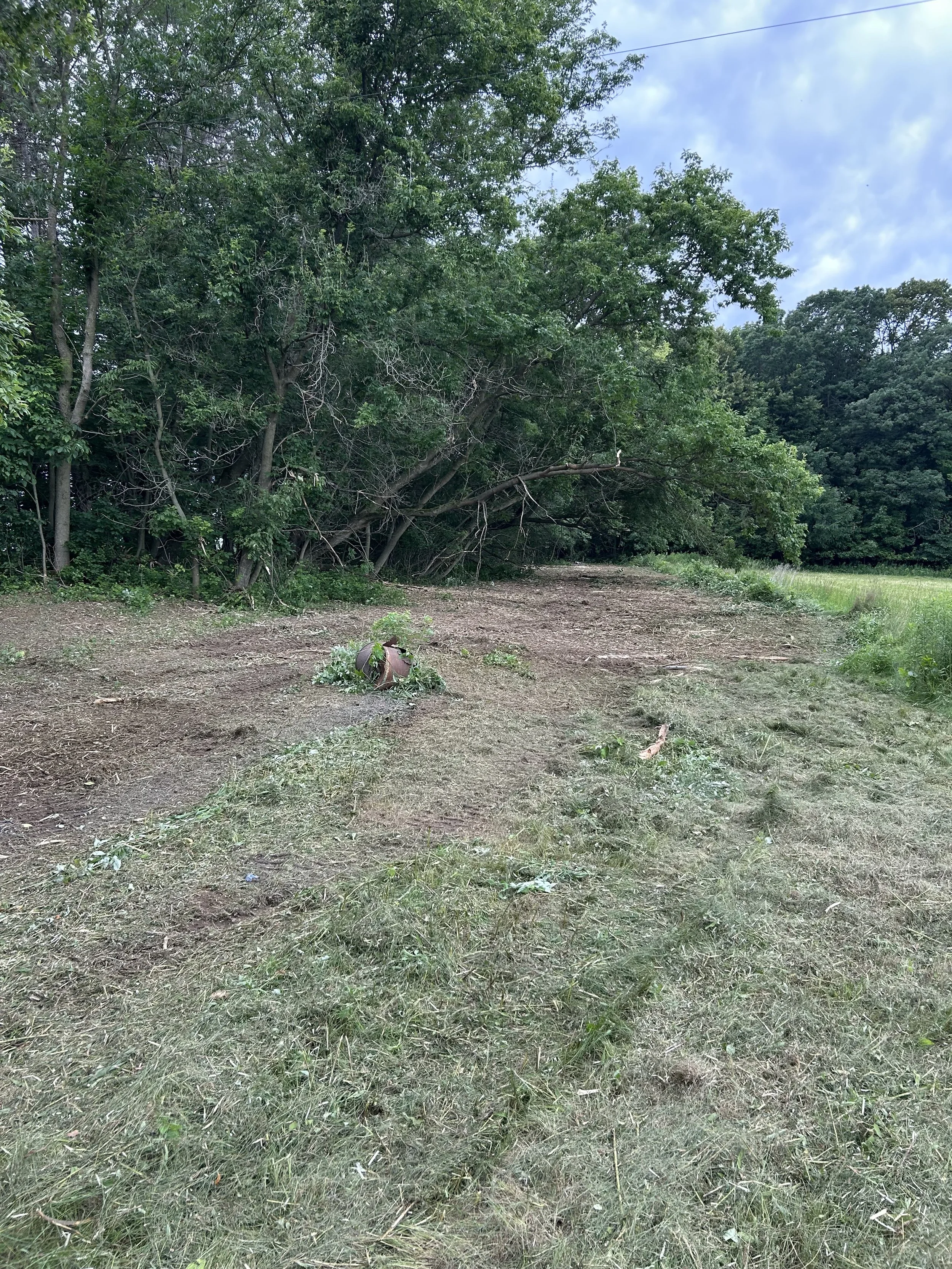 Forestry Mulching