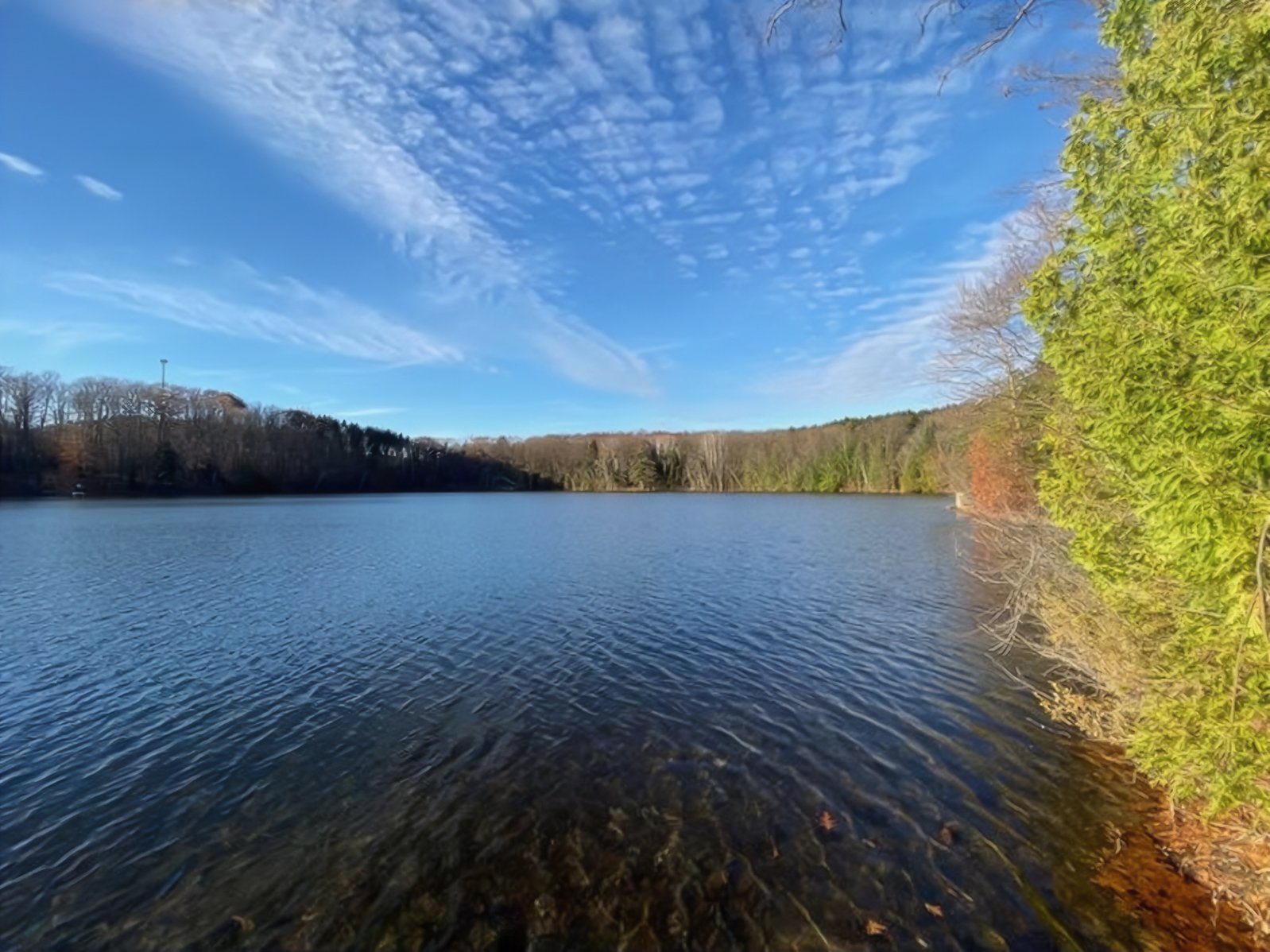 Twin Lakes Park: A Broken Promise 
