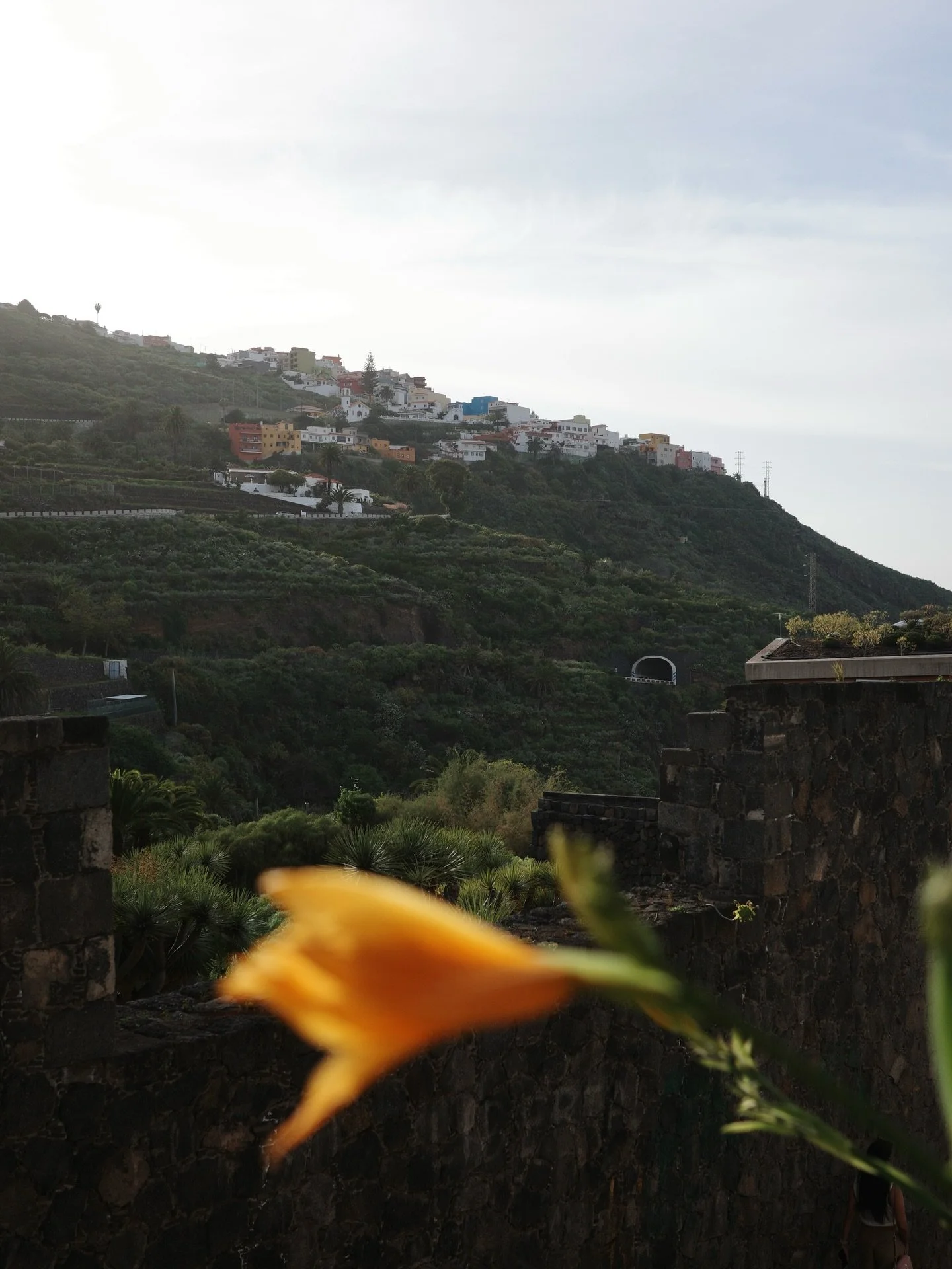 Camera roll #Tenerife 🎞️🌋

#canaryisland #spain #isla #island