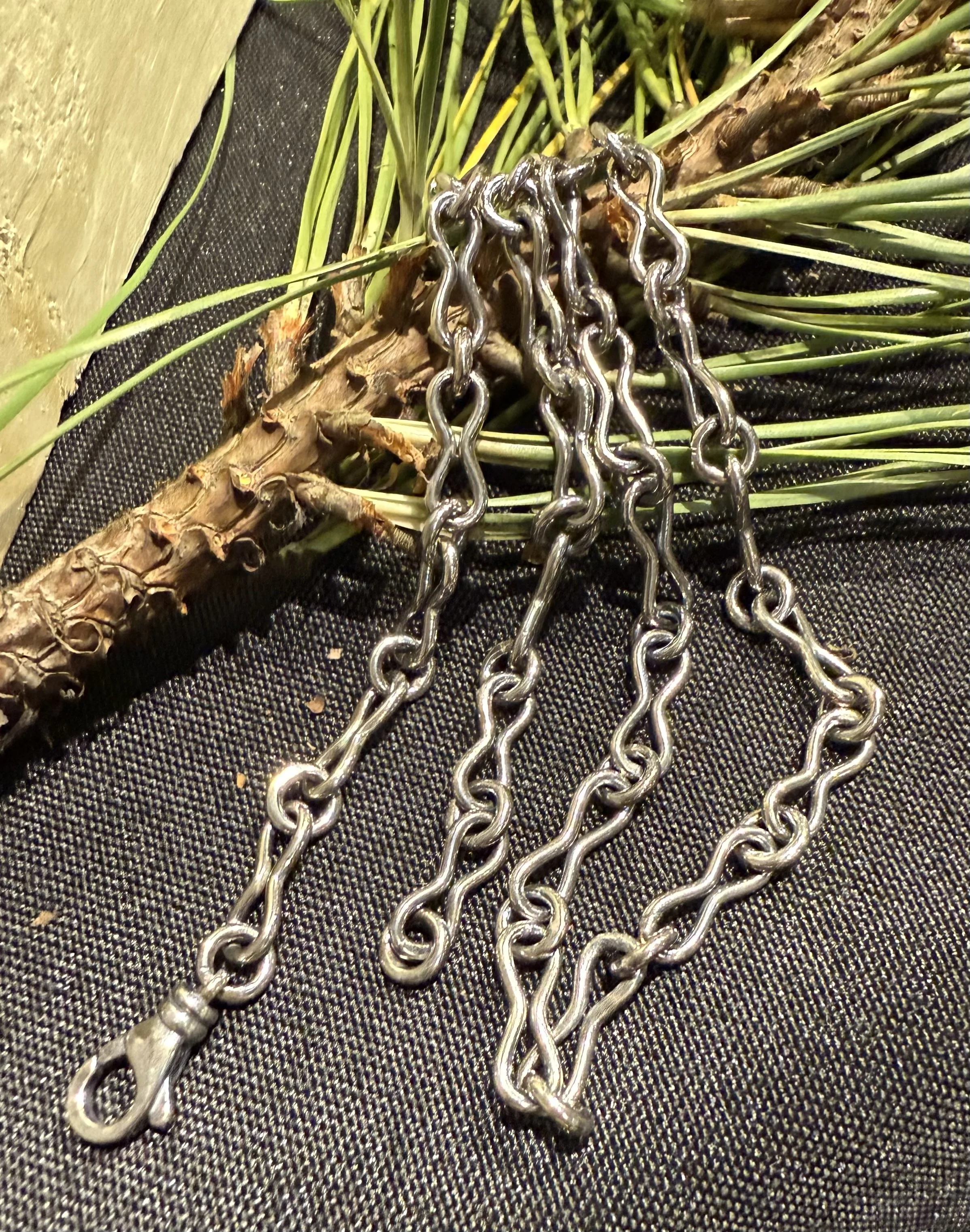 IMG_1815 - Barbara Land.jpeg