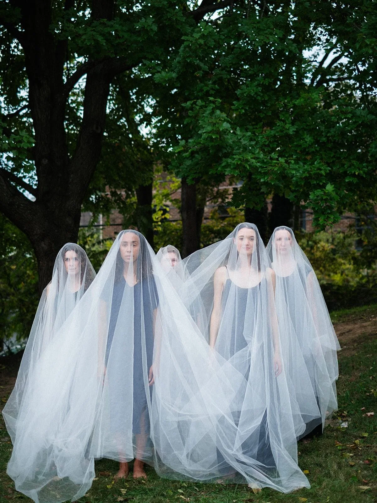 The Quartet, this group is the heart of ‘Haunting to Healing’- the original inspirations of ancestry, the gifts we receive through our ‘blood memory’ as termed by Martha Graham herself, the power of the matrilineal thread seen