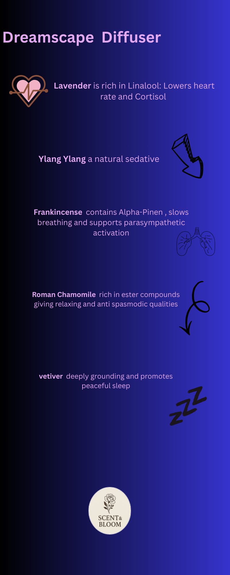 Infographic explaining the benefits of a Dreamscape Diffuser, highlighting lavender for relaxation, ylang ylang as a sedative, frankincense for breathing support, roman chamomile for calming, and vetiver for sleep promotion, with icons of a heart, lungs, and a sleep Z symbol.