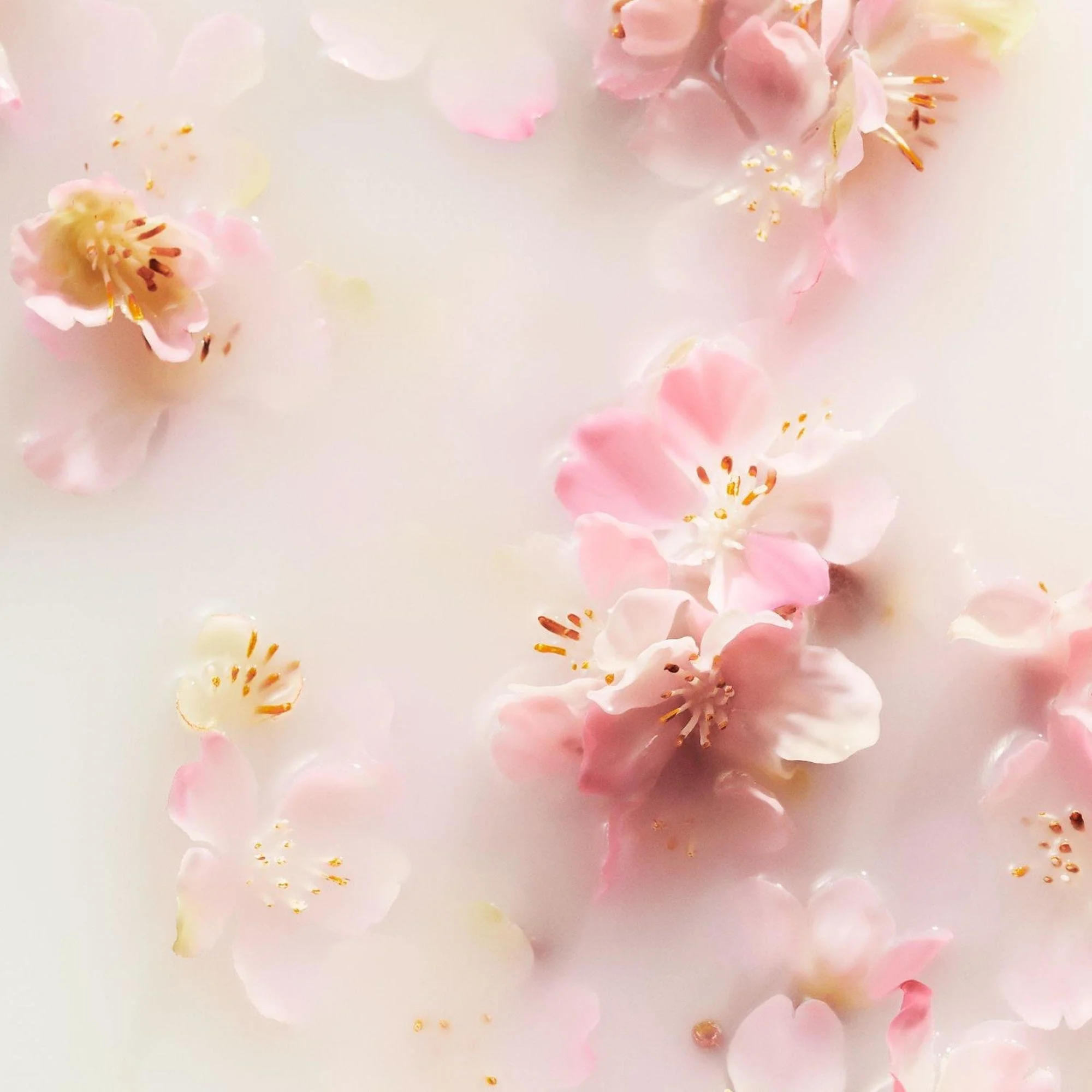 Petals, Memories &amp; New Beginnings: The Story Behind My Flower Jewelry