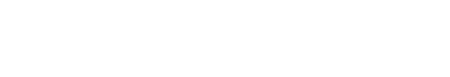 Rhythm Raccoons