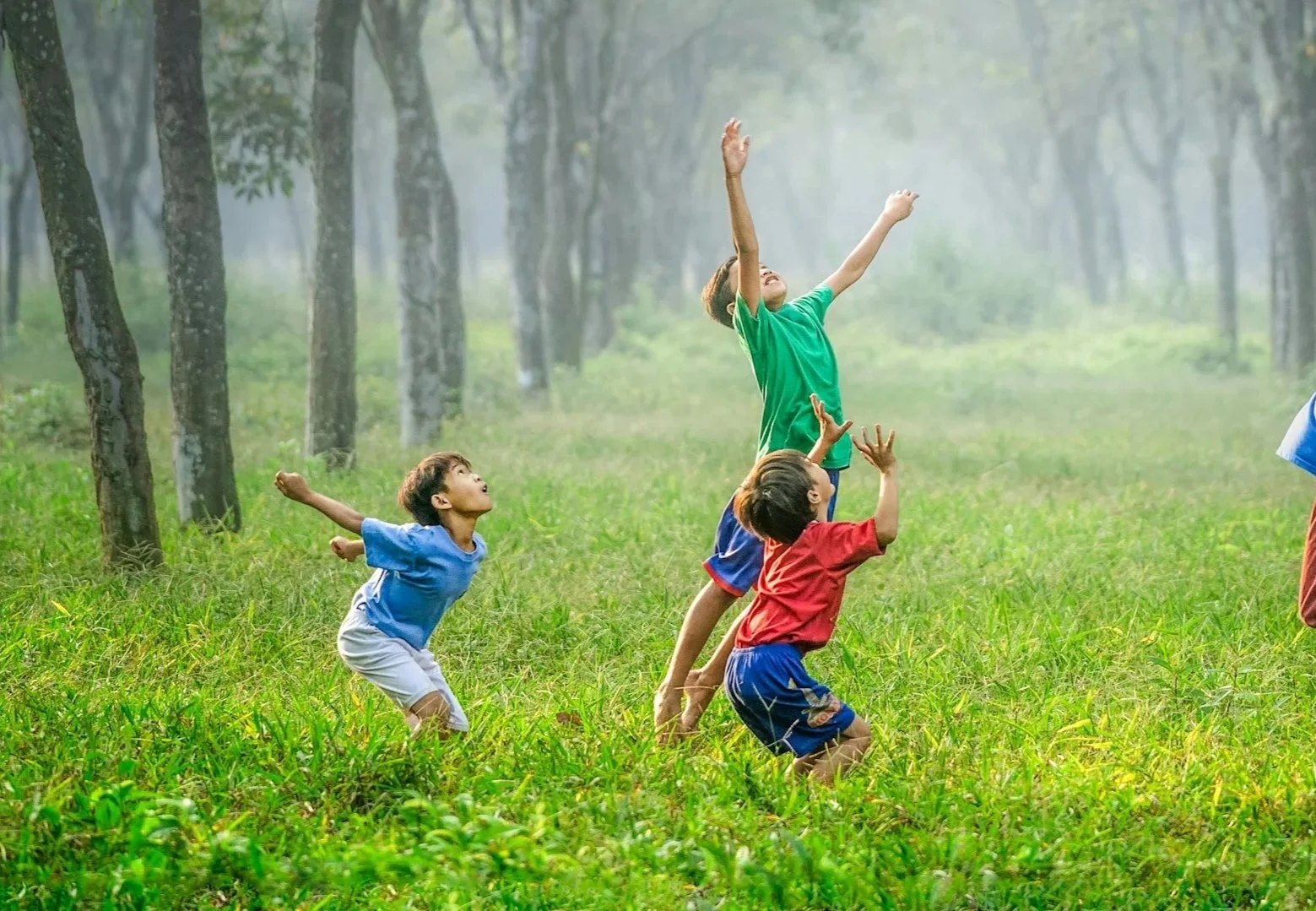 Children playing and jumping in a grassy forest clearing.