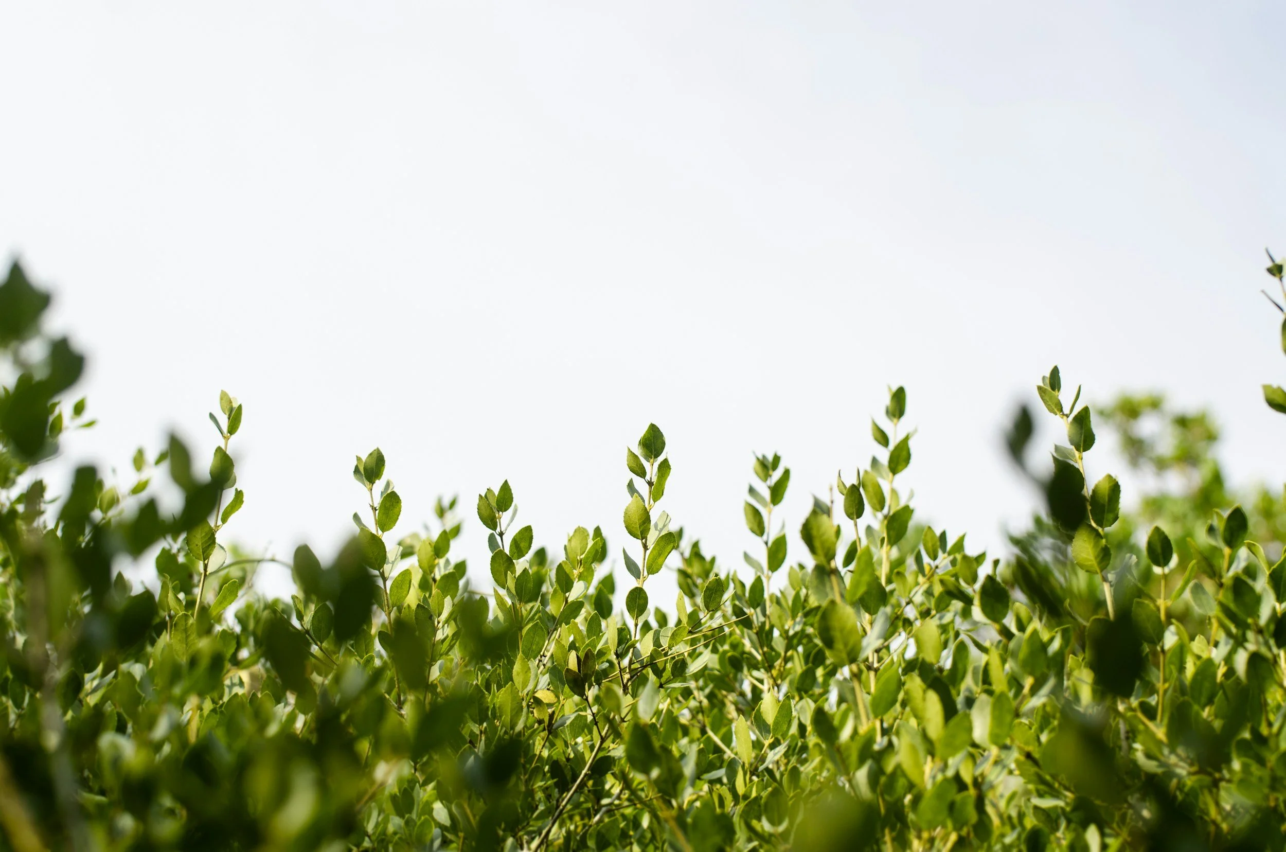 Calm and inviting therapy office at Nourish Your Mind