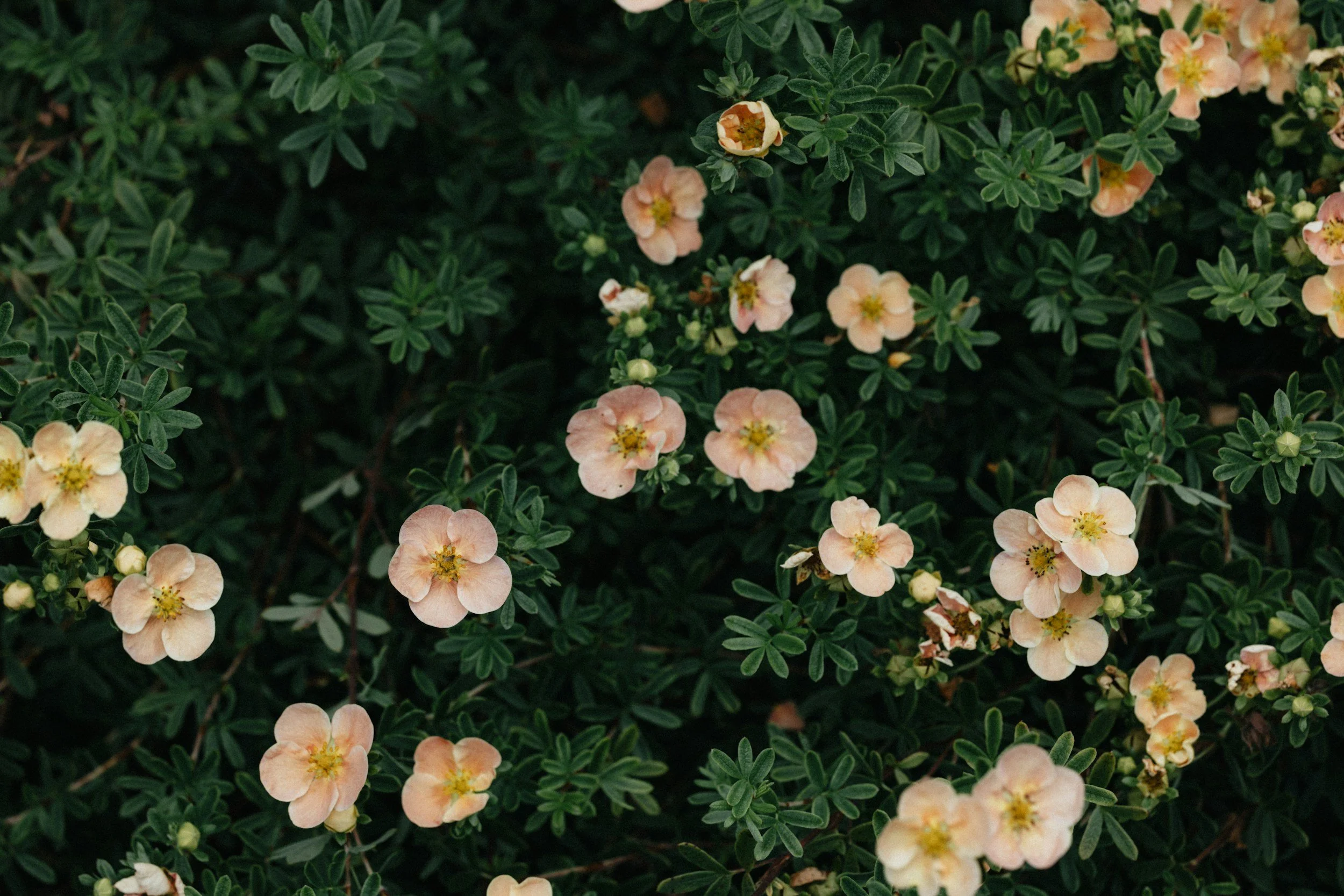 Why Rest Can Feel So Uncomfortable When You’re Used to Being Productive