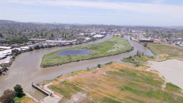 Week of August 12, 2024