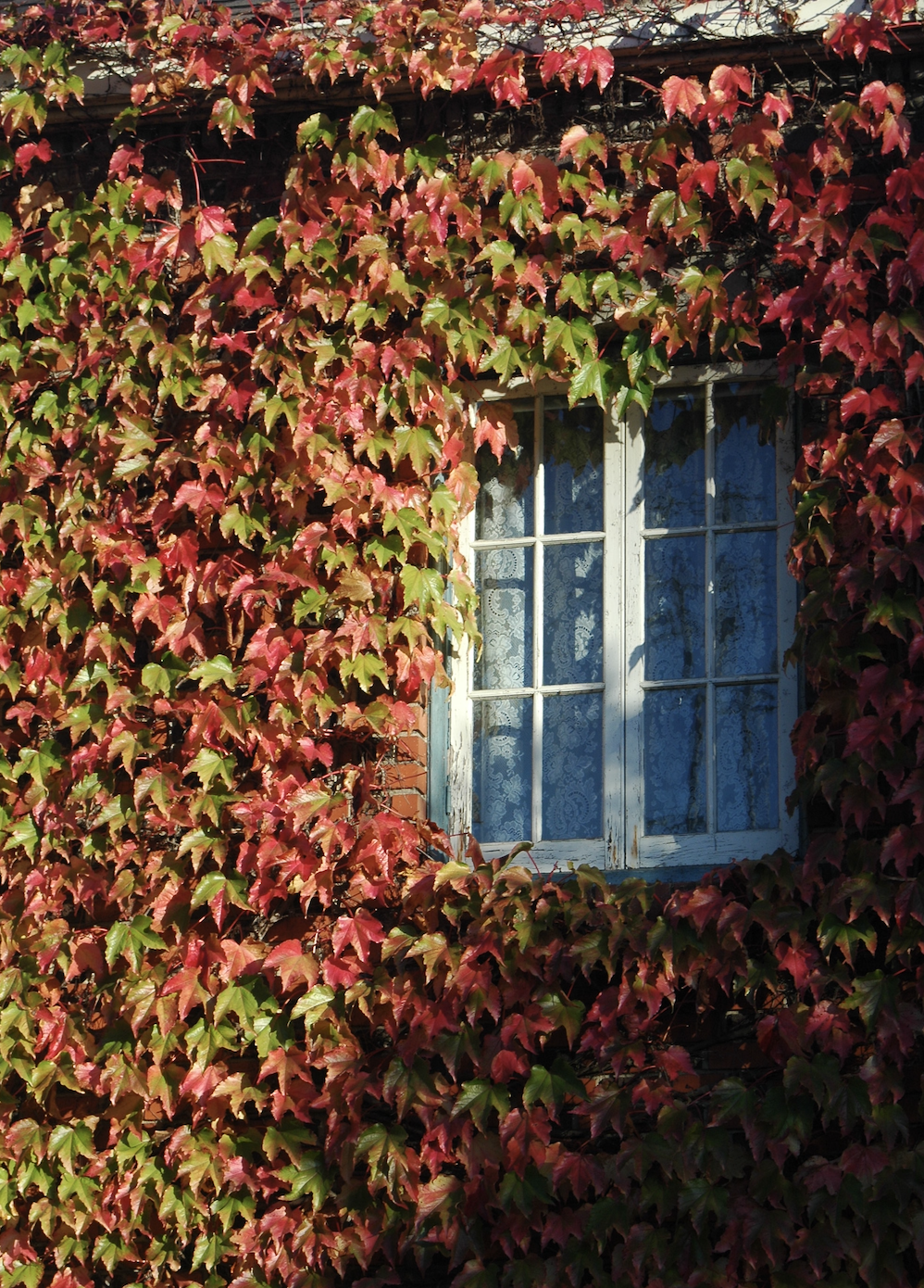 Week of December 15, 2025