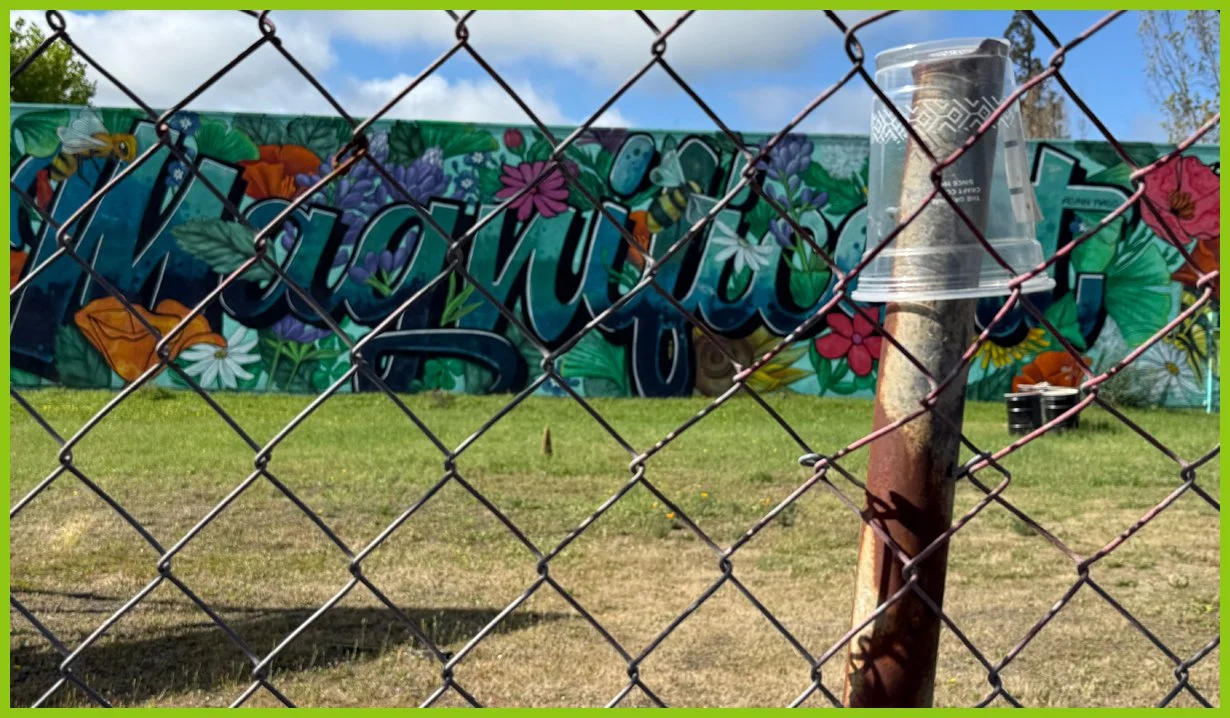  At least the mural is magnificent . . . 