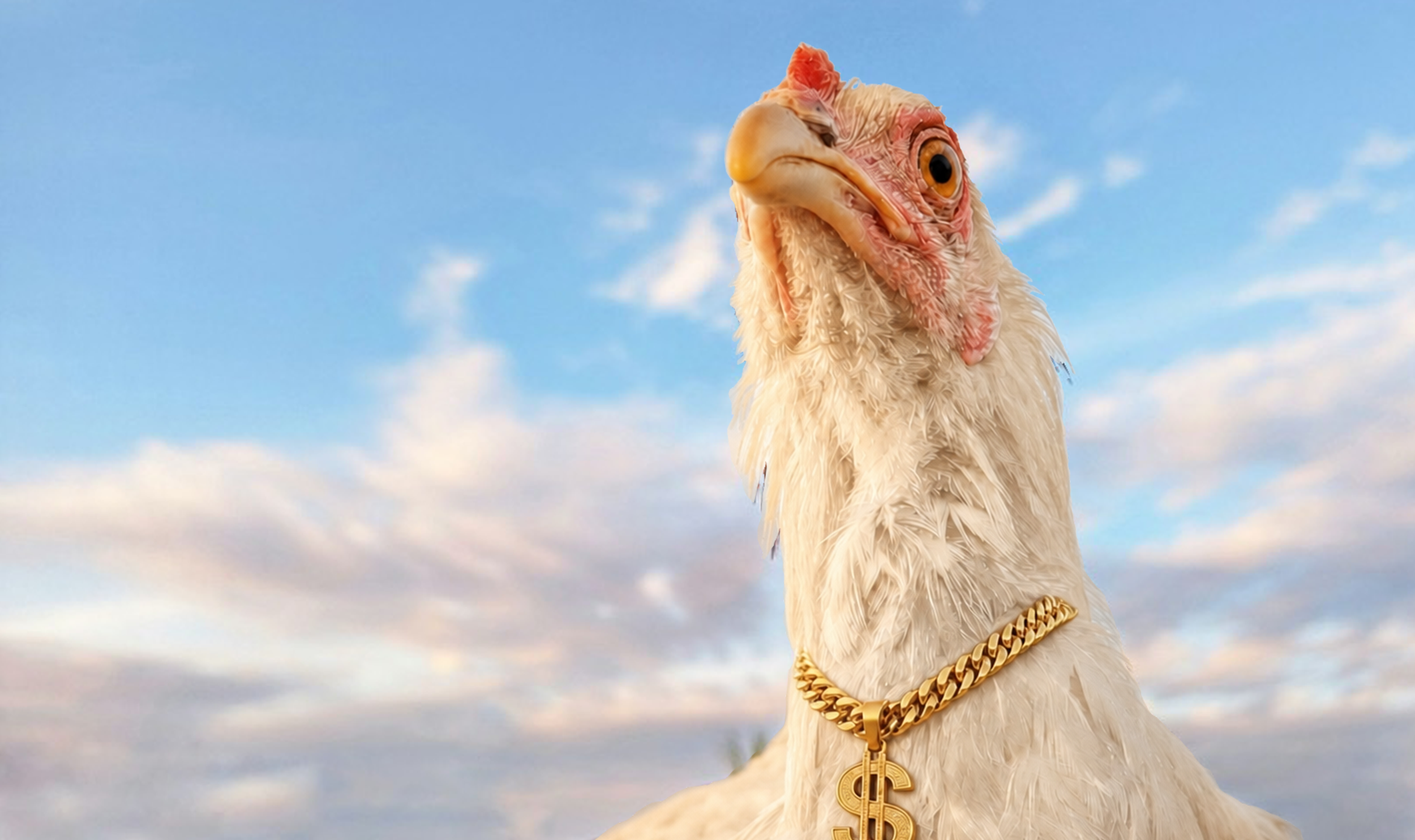 Follow the Clucking Money Series Workshop #2