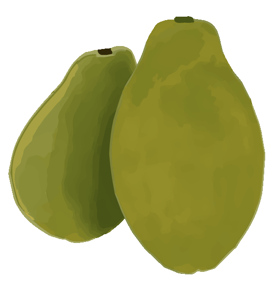 Papaya - Illustrated in Procreate and animated gif created in Adobe Illustrator