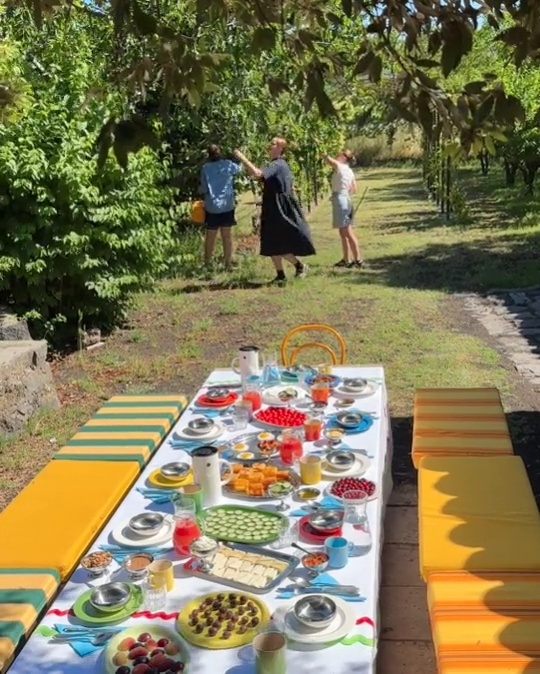 Outdoor gathering with a long table set for a meal, colorful food and drinks, and people chatting in a lush, green garden.