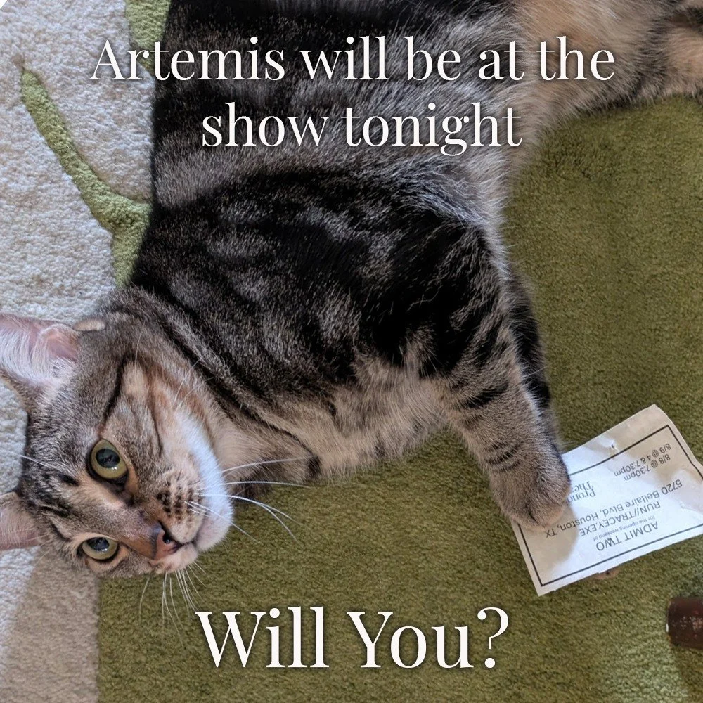 Run //Tracey.exe begins its second weekend tonight! 

(Artemis will not be appearing in the theater, sadly. Owing to the recent actions of the Texas legislature cats are barred from all cultural events as they don't meet community standards)