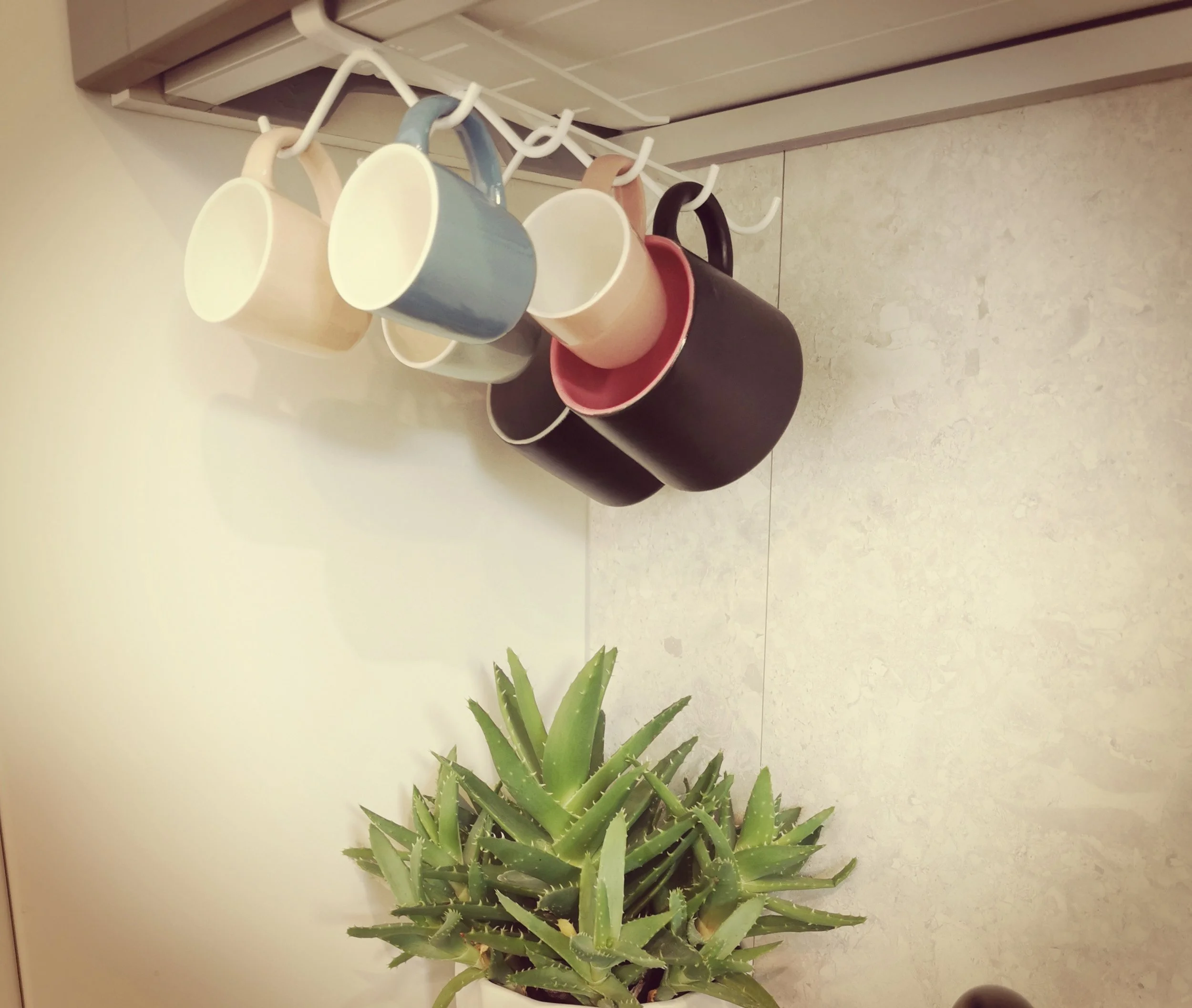 Little Espresso Cups