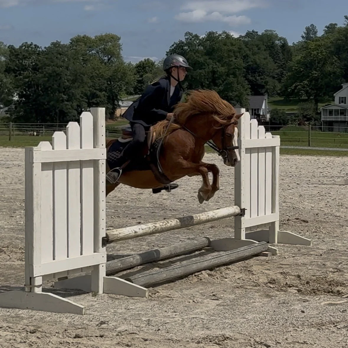 July Horse Lovers Jumping Camp