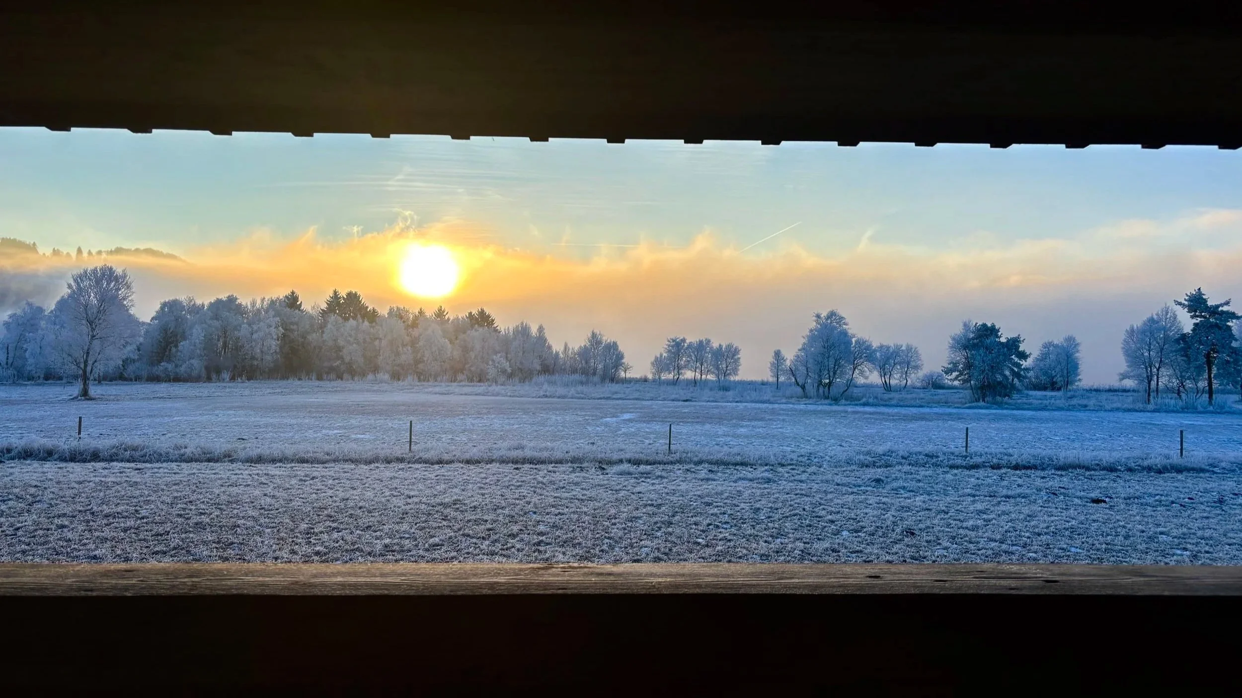 Iris Jedinger: vier Fotos aus der Vogelhütte am Irrsee-Nordmoor. Der dargestellte Zeitraum umfasst Juli - Dezember.