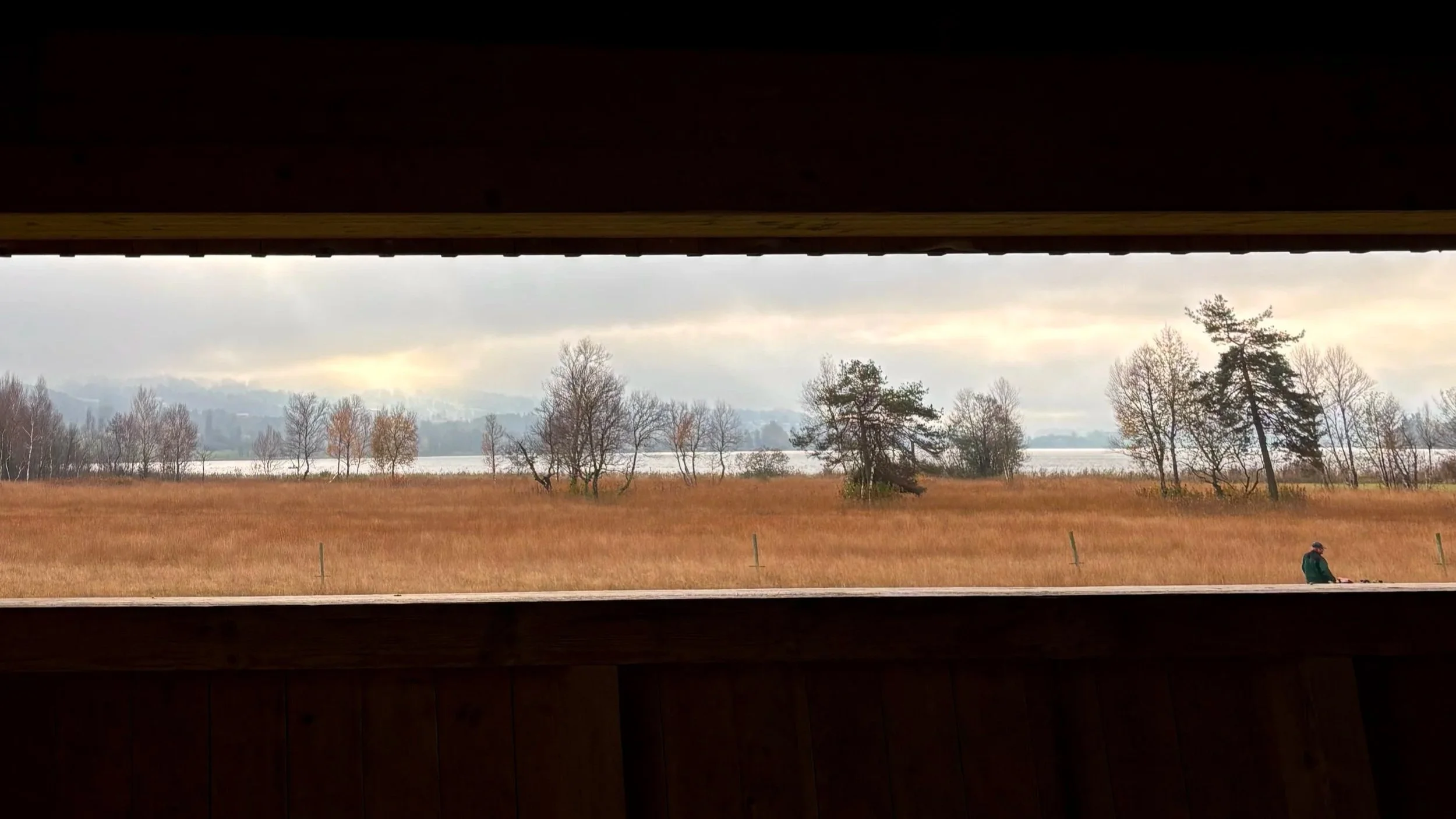 Iris Jedinger: vier Fotos aus der Vogelhütte am Irrsee-Nordmoor. Der dargestellte Zeitraum umfasst Juli - Dezember.