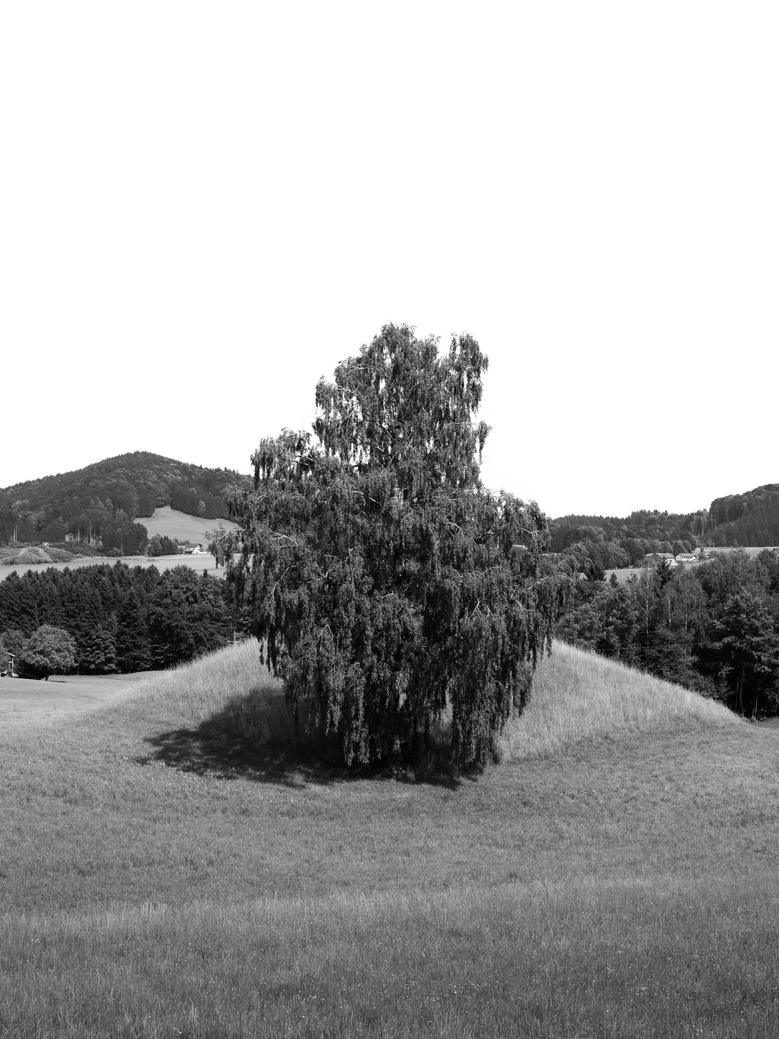 Dirk Obracay ©2026: Vier zeitgenössische Fotografien aus Oberhofen 