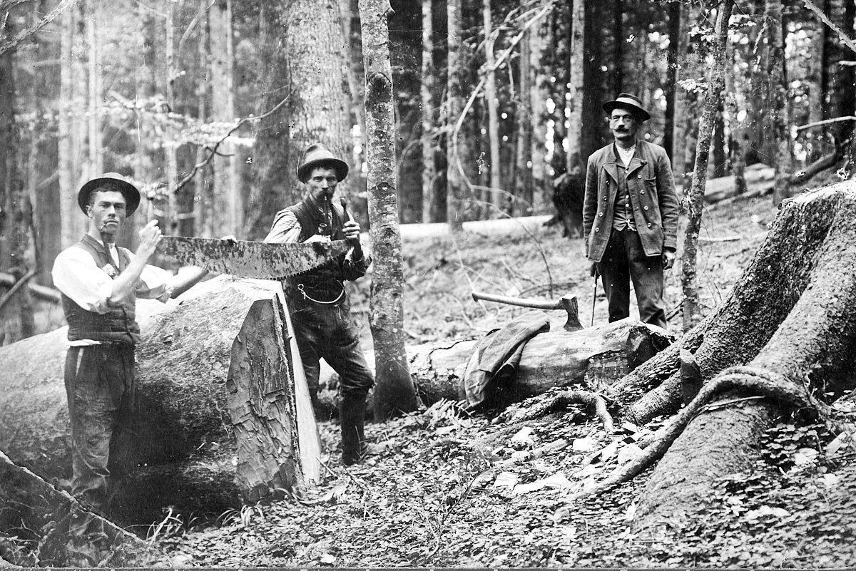 Kaiser0833.jpg