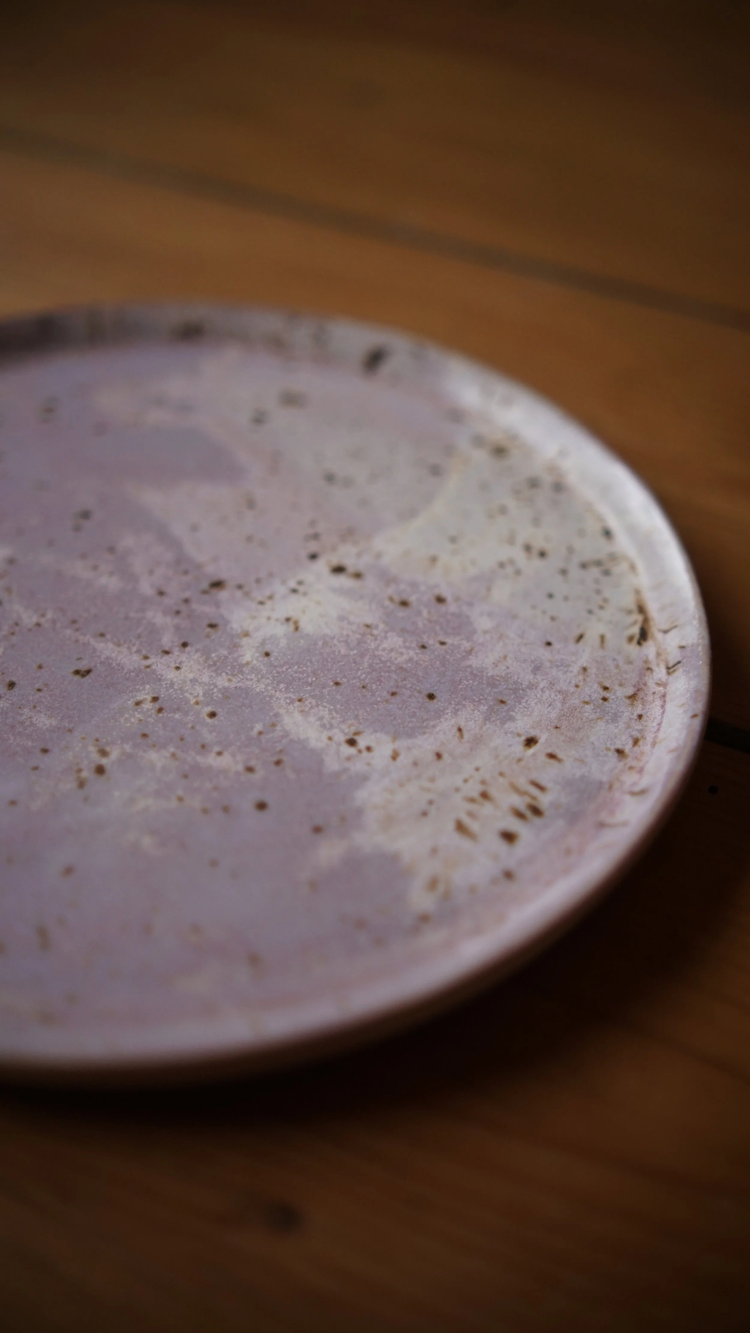 Steinzeug Teller Salzwiese