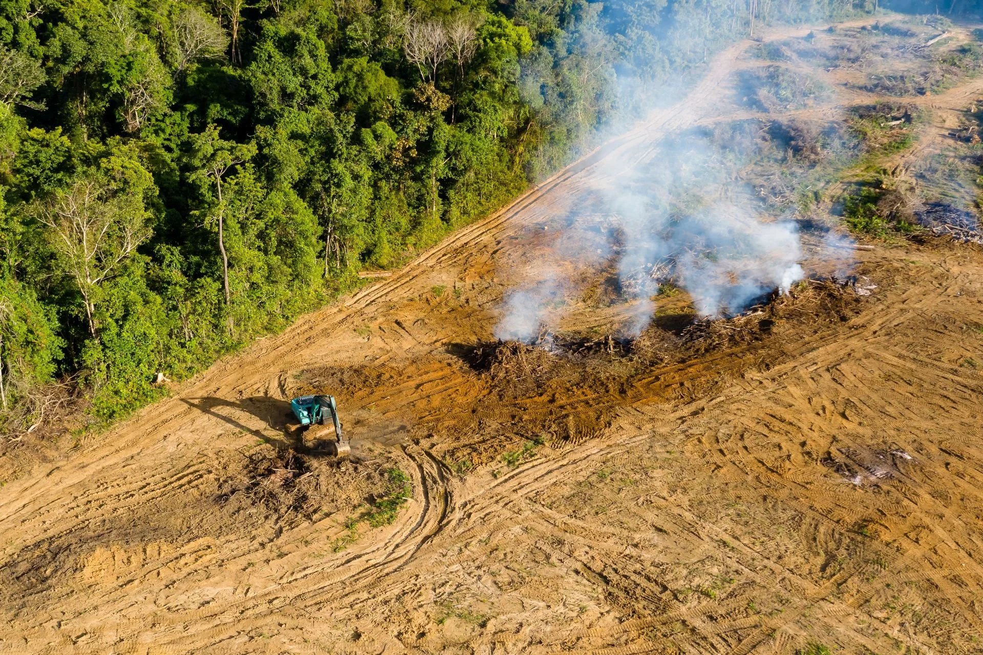 Land Clearing & Tree Services in Rogers County, Tulsa & Surrounding Areas
