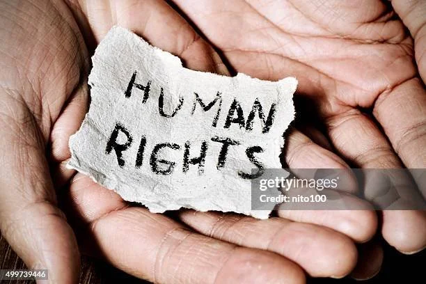 gettyimages-499739446-612x612.jpg