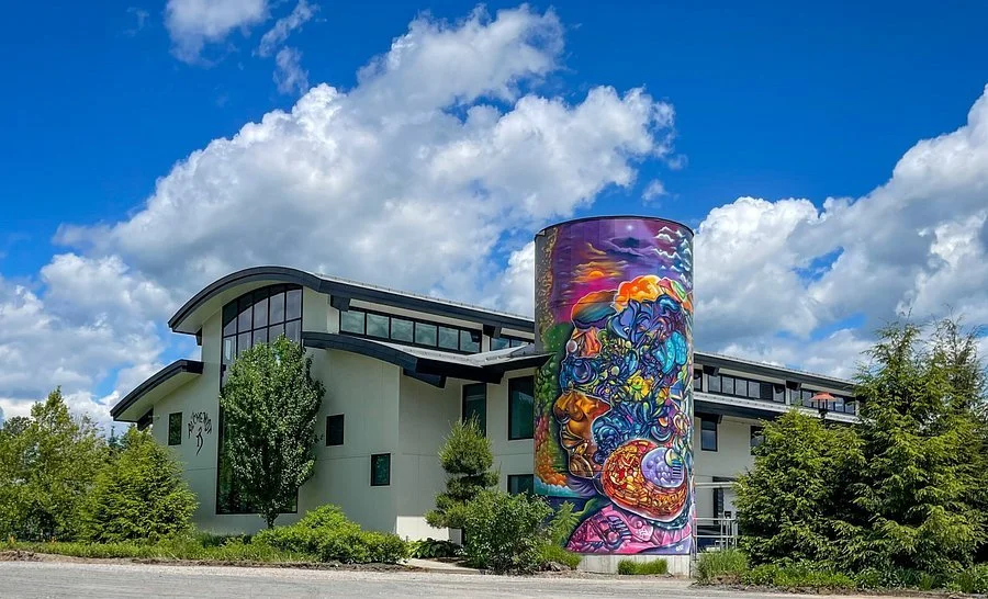 The Alchemist Brewery in Stowe Vermont with colorful mural and modern tasting room exterior