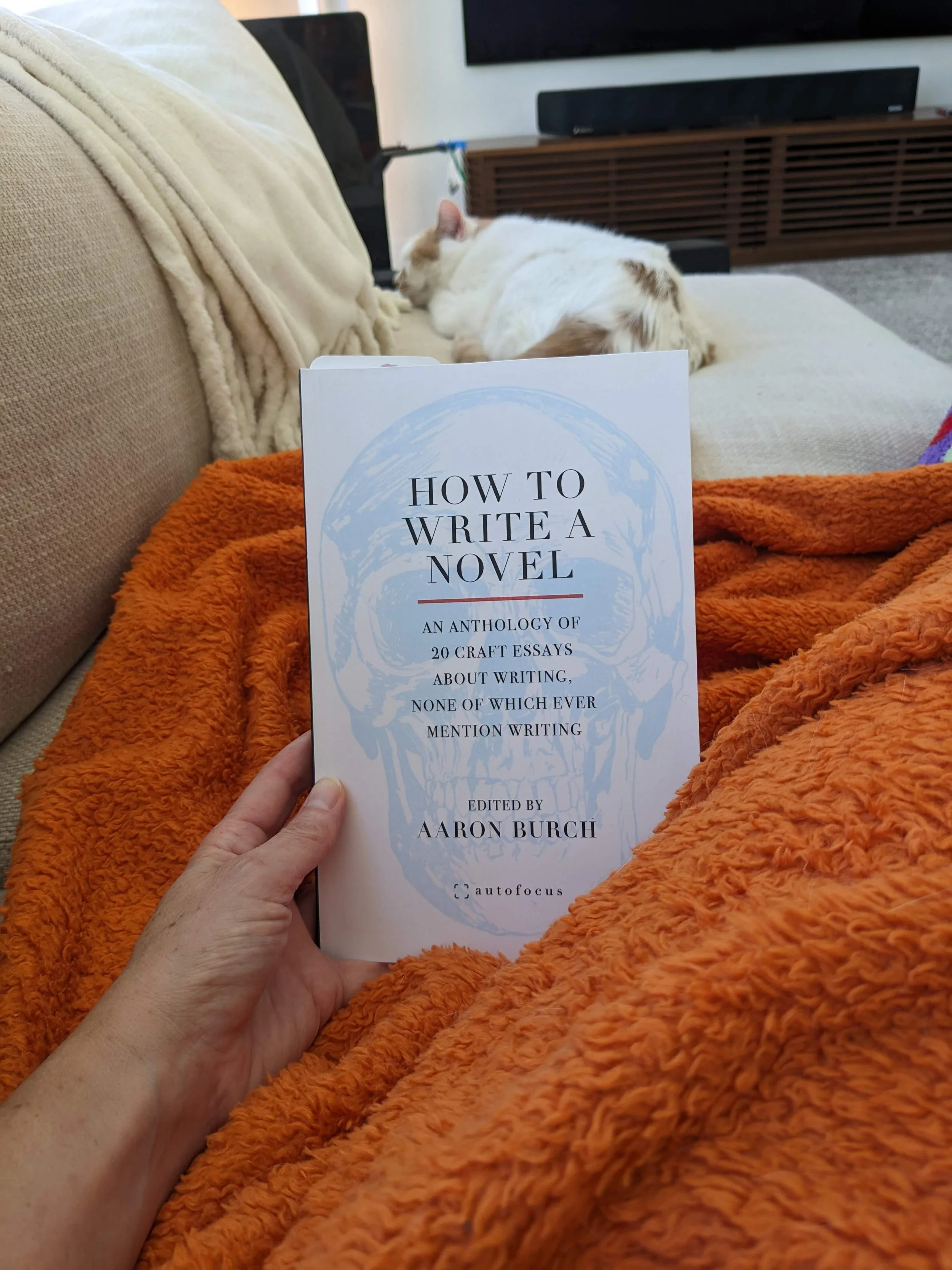 Now Read This! How to Write a [Book]