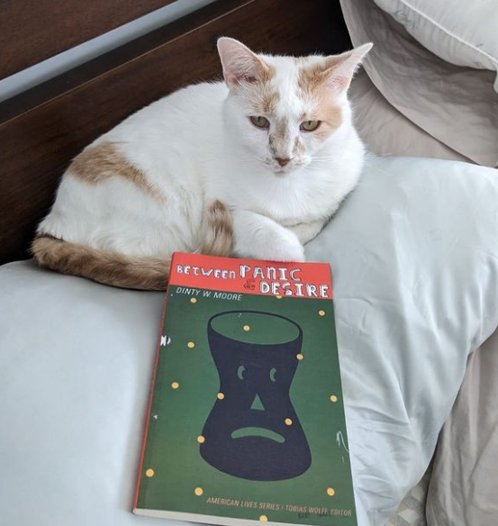 Craft and connection