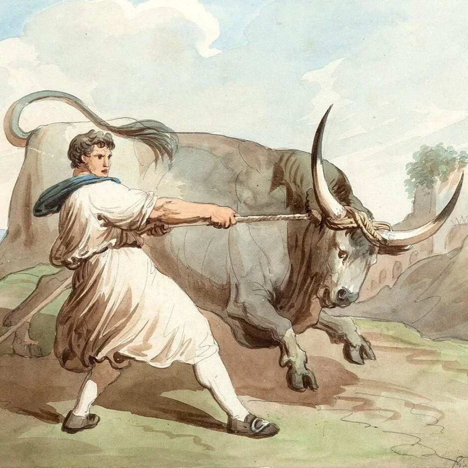 ‘Religious believers should not use animals as food.’