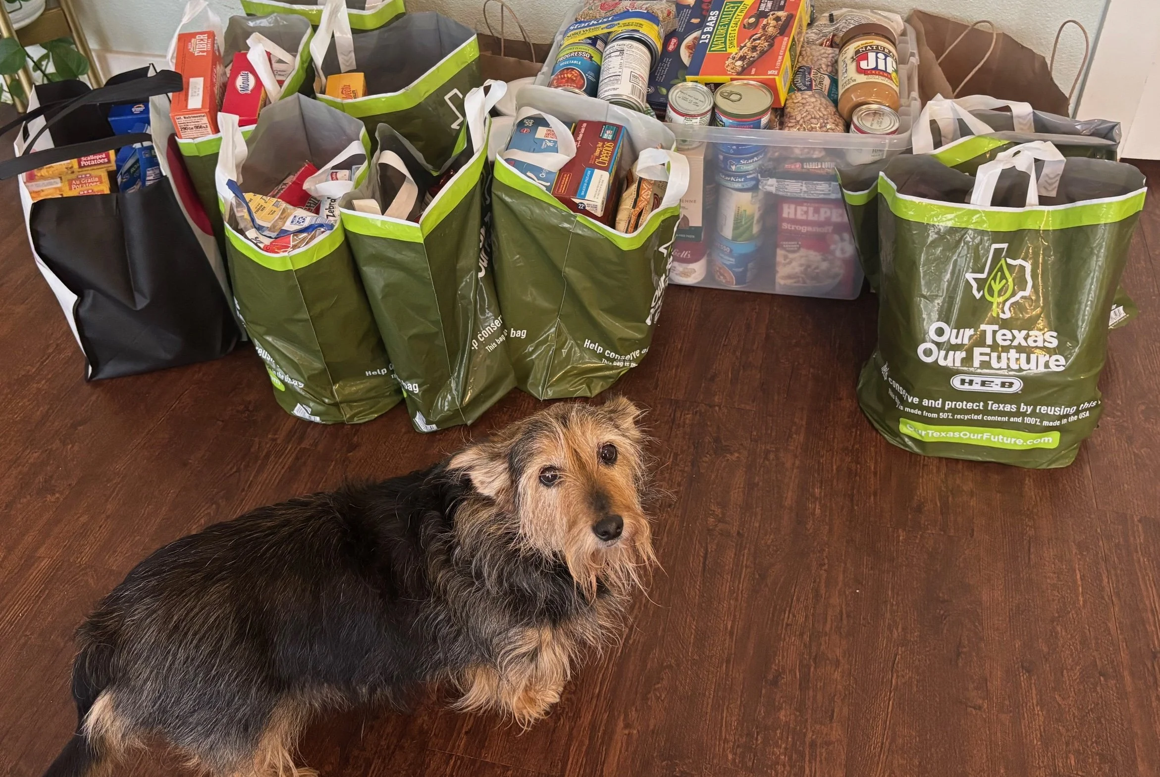 Helpers in Mueller: Food Drives and Grocery Support
