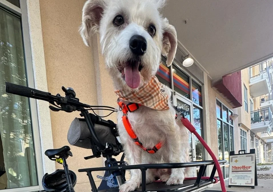 Cruising in My Mueller Mobile