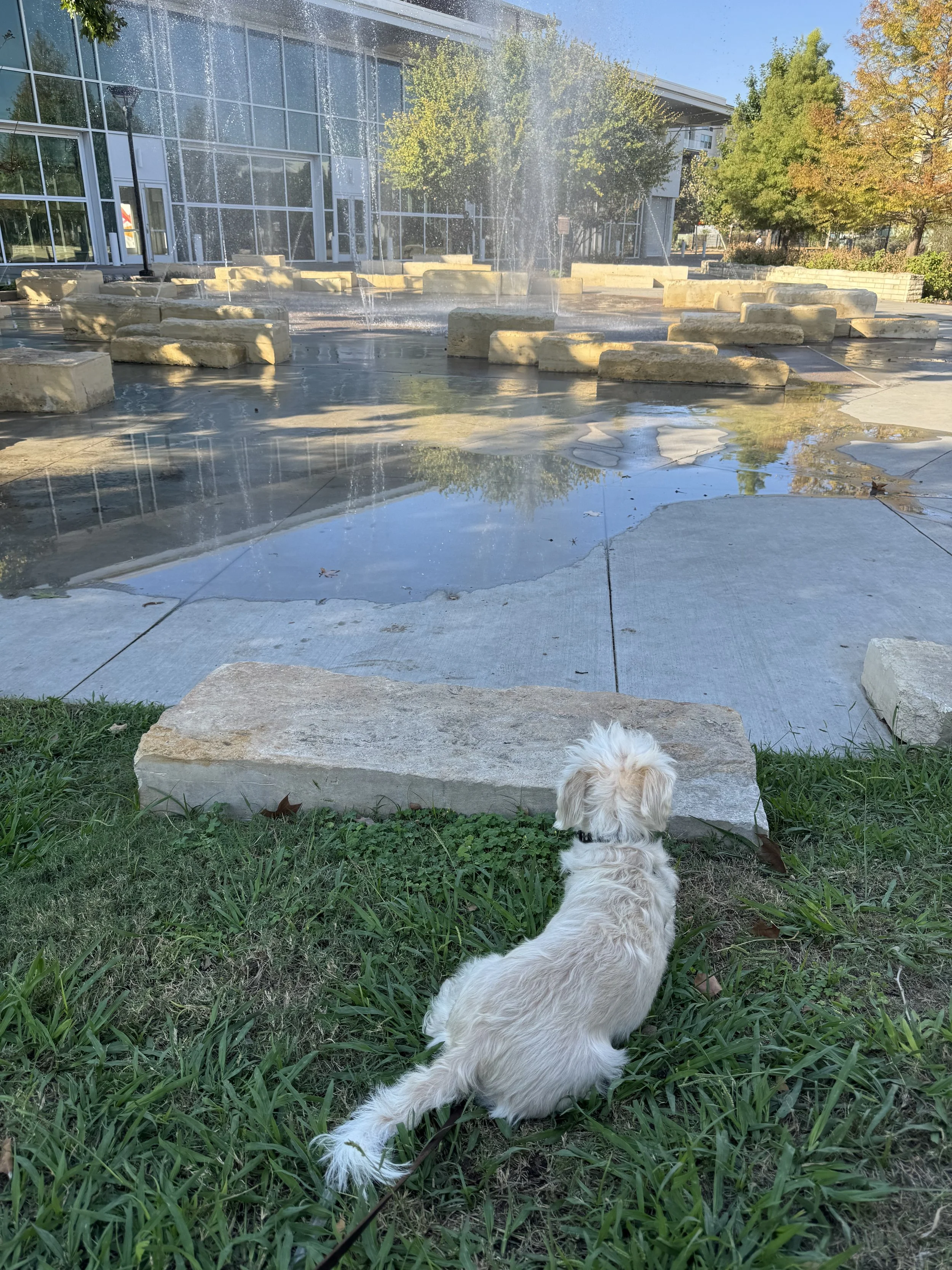 Mueller’s Branch Park Splash Pad Is Getting Repaired in Late 2026