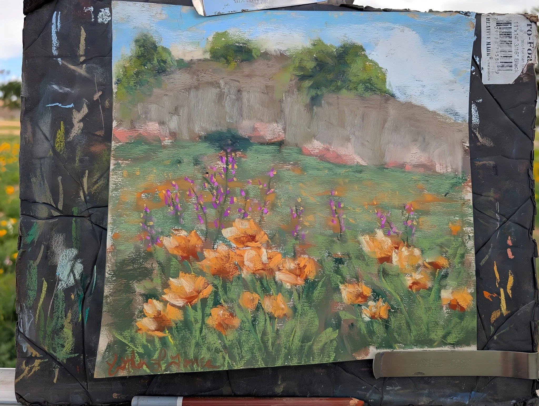 So...

Your girl...
Can still...
Paint.

I was afraid, honestly. I haven't tried in over a year, maybe as much as two years. Clay is a tyrant🤣

But today my gallery (buchananartgallery.org) put on a free community plein air "paint the wildflowe