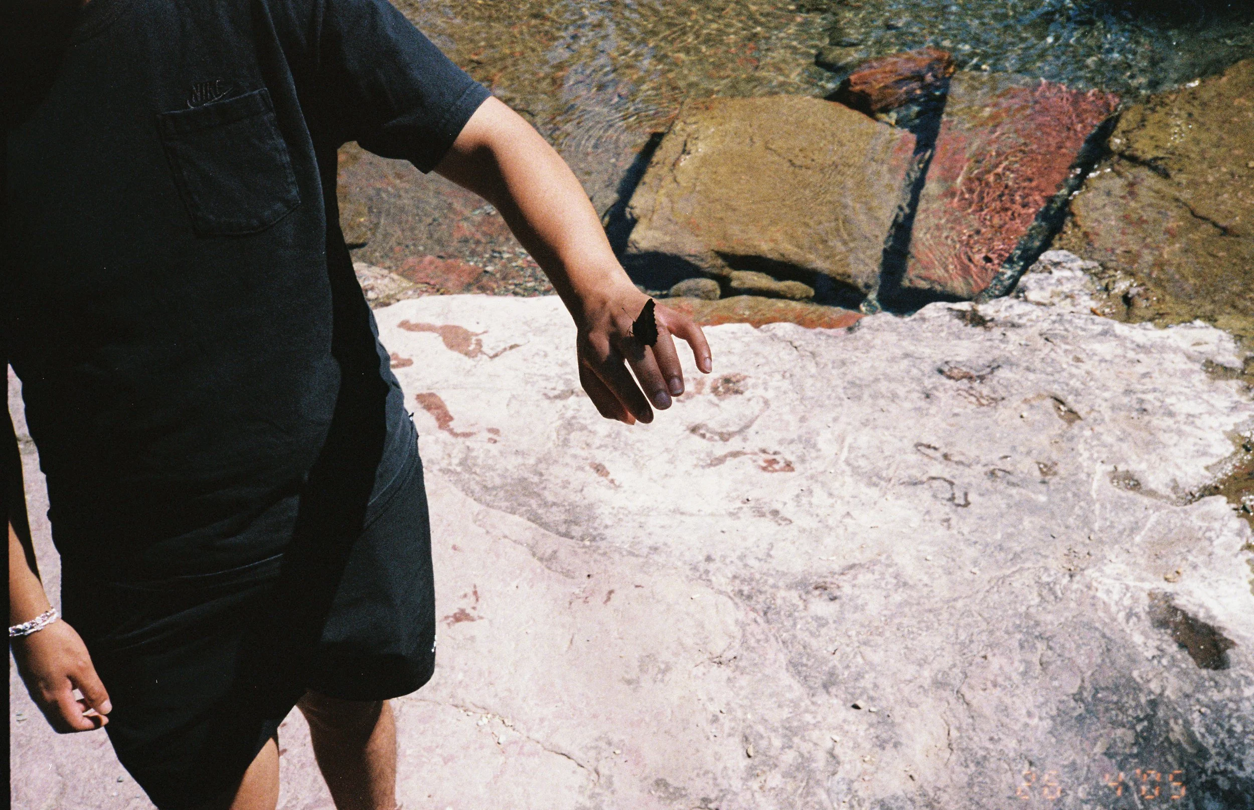 Close-up of a person's hand reaching towards the ground, with a butterfly resting on their hand, near a rocky shoreline.