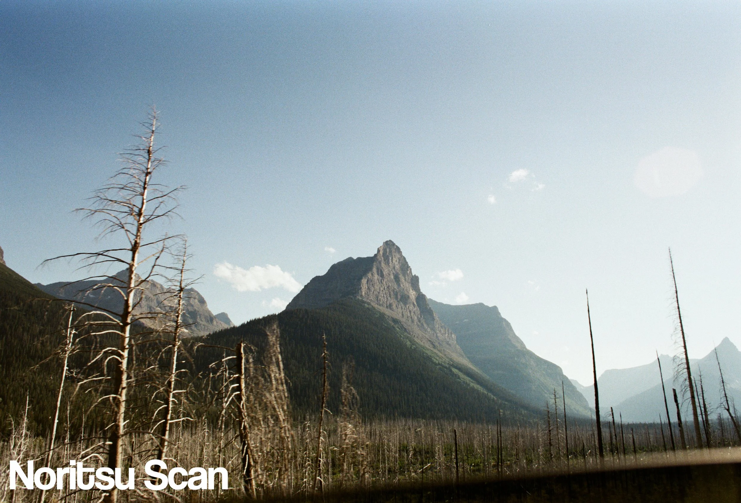 Mountain range with a prominent peak, surrounded by forested slopes and dead trees in the foreground, under a partly cloudy sky.