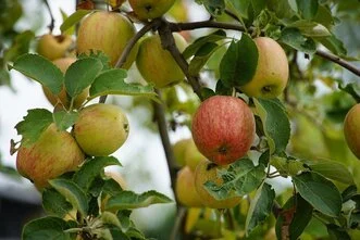 The Inside of Giving