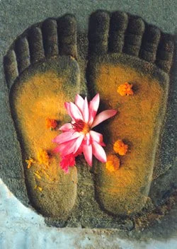 Bypass -- A Fuller Understanding